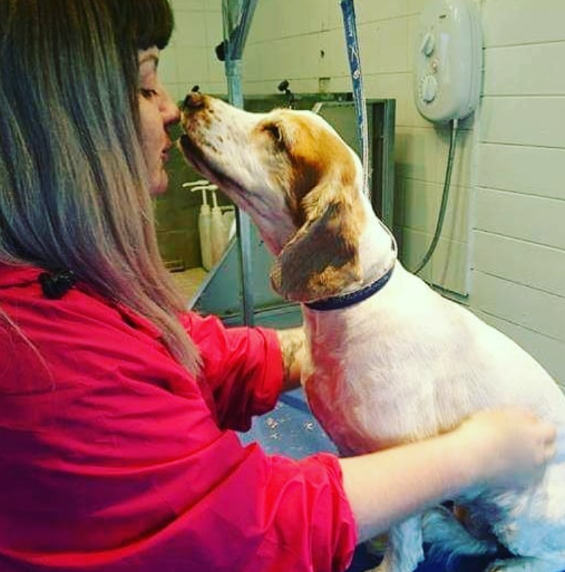 A woman in a red shirt holding a large dog in a grooming room, with the dog close to her face giving kisses.