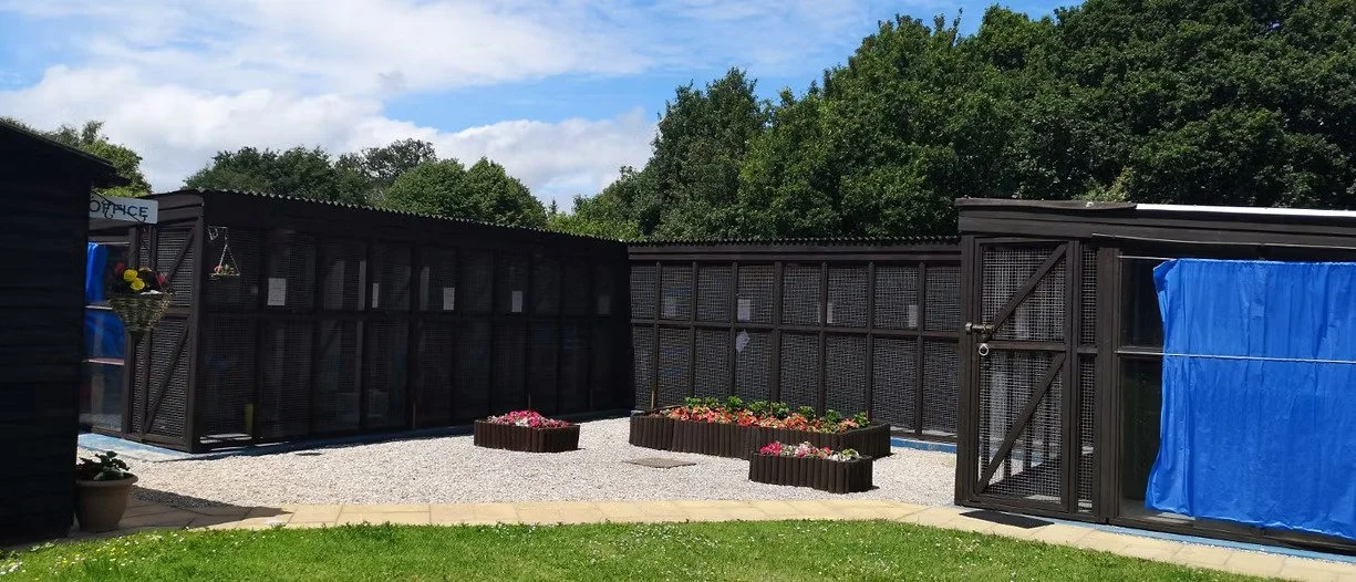 Backyard garden enclosed by black mesh fences with flower beds and a blue tarp covering part of the fence. Green trees and blue sky with clouds in the background.