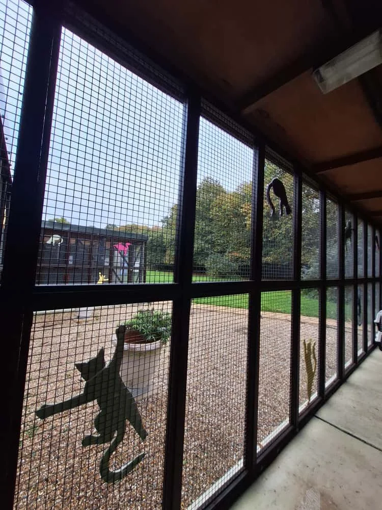 View of a screened porch with metal cat and animal cutouts, looking out onto a backyard with a grassy area and trees in the distance.