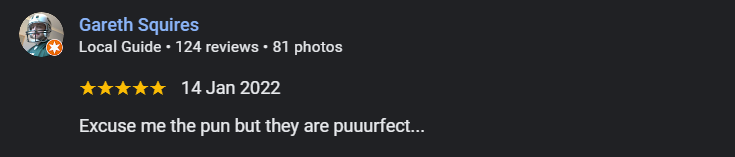 Screenshot of a Google review by Gareth Squires, dated January 14, 2022, with five stars and text about pun humor.