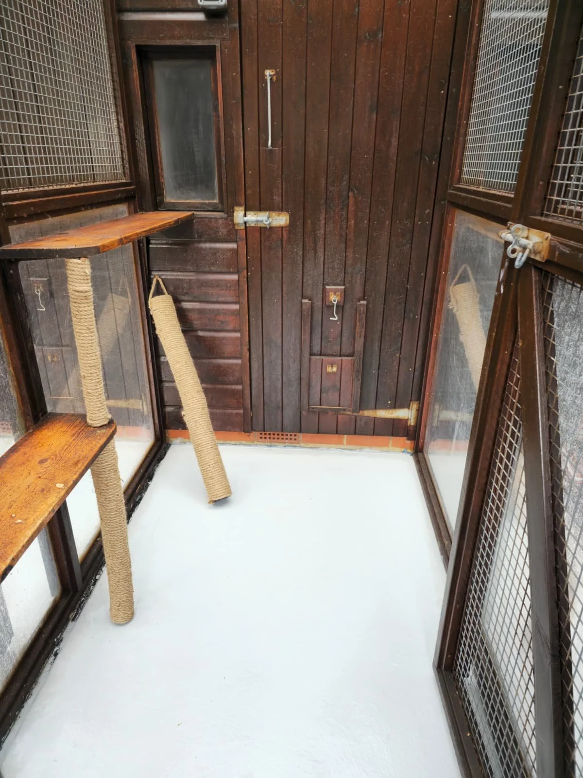 Standard enclosed cat suite with wooden furniture, scratching posts, and a wooden door.