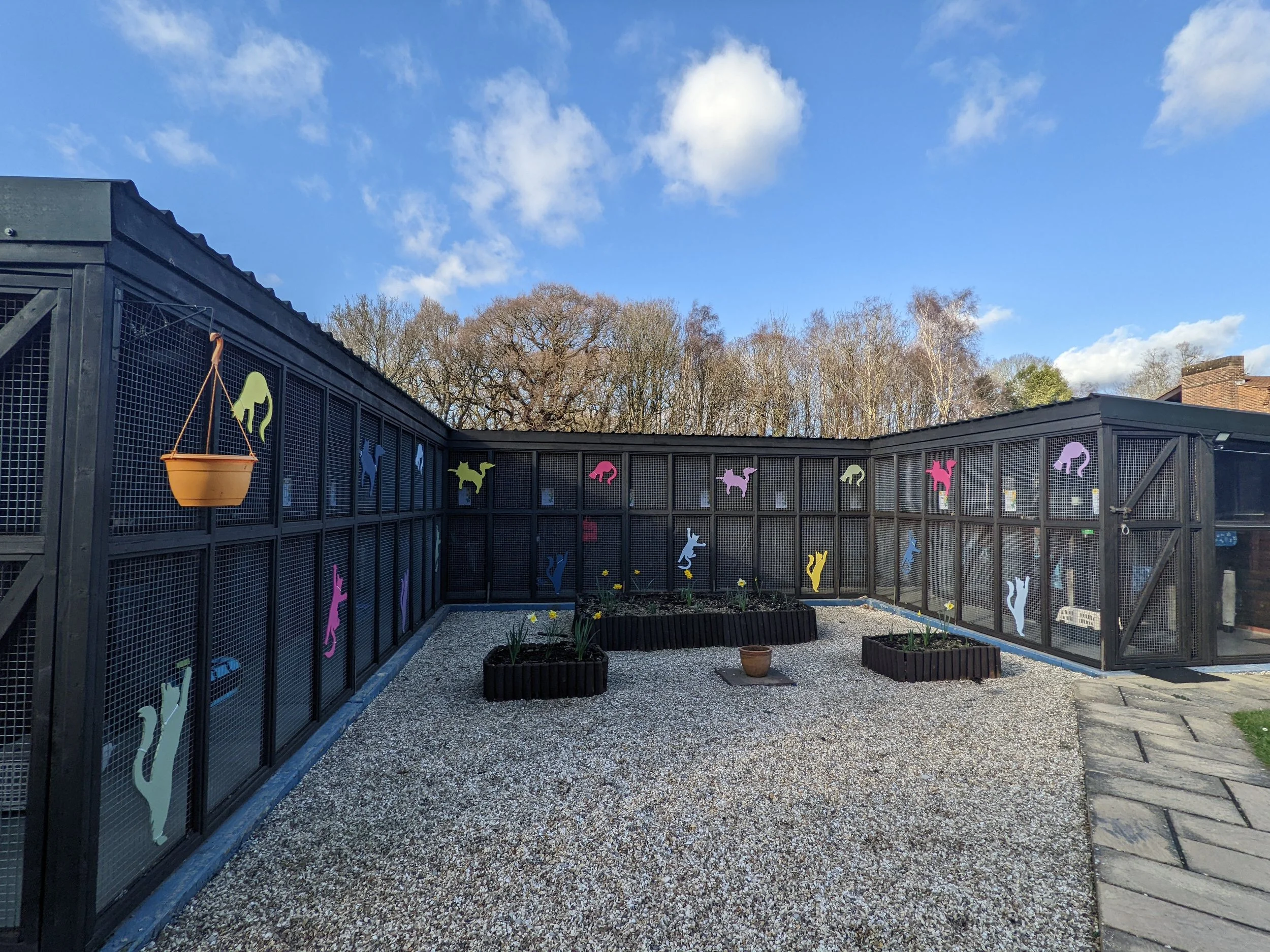 Outdoor of the Cat Hotel patio with gravel ground, small flower beds, black metal fence with colorful cutout animal shapes, and a hanging orange flower pot, against a background of leafless trees and a bright blue sky.