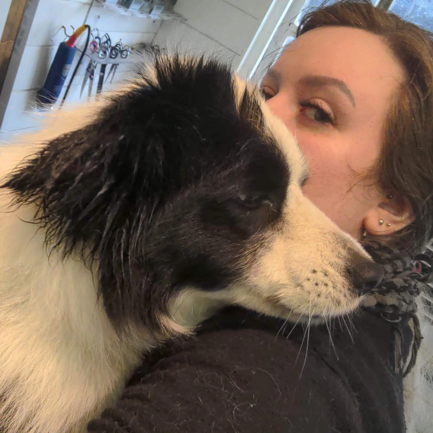 The dog groomer snuggles with a black and white dog, resting their head on a person's arm.