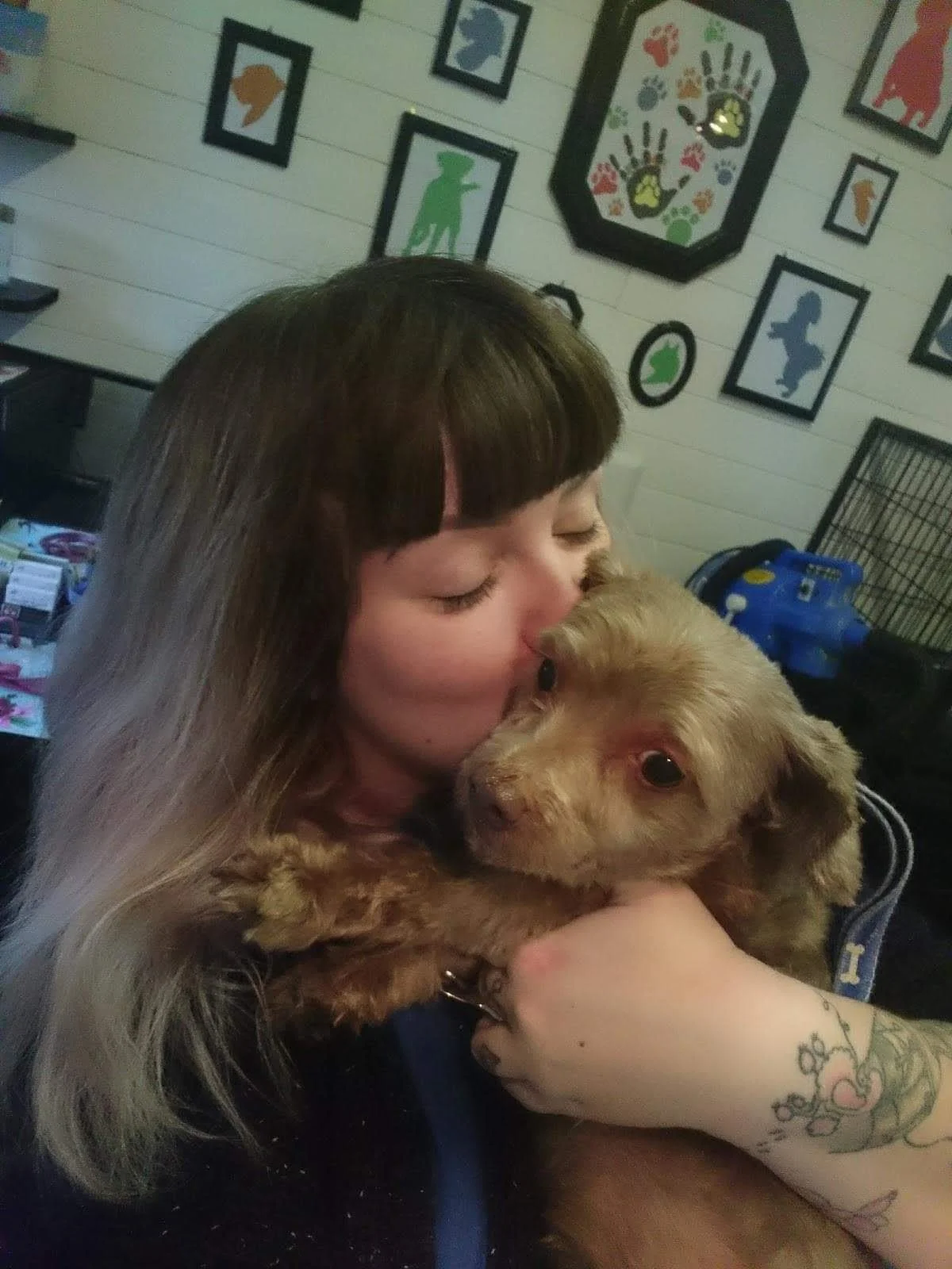 A woman with long, light brown hair, partially with bangs, holding and kissing a small, light brown puppy inside a room decorated with colorful framed dog and paw print artwork.