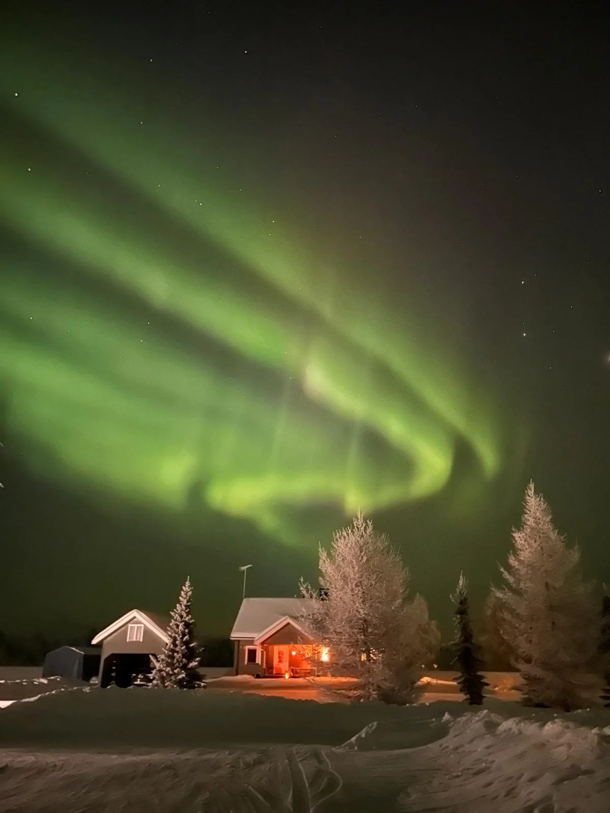 A house at night with snow-covered trees in the foreground and the Northern Lights illuminating the sky above.