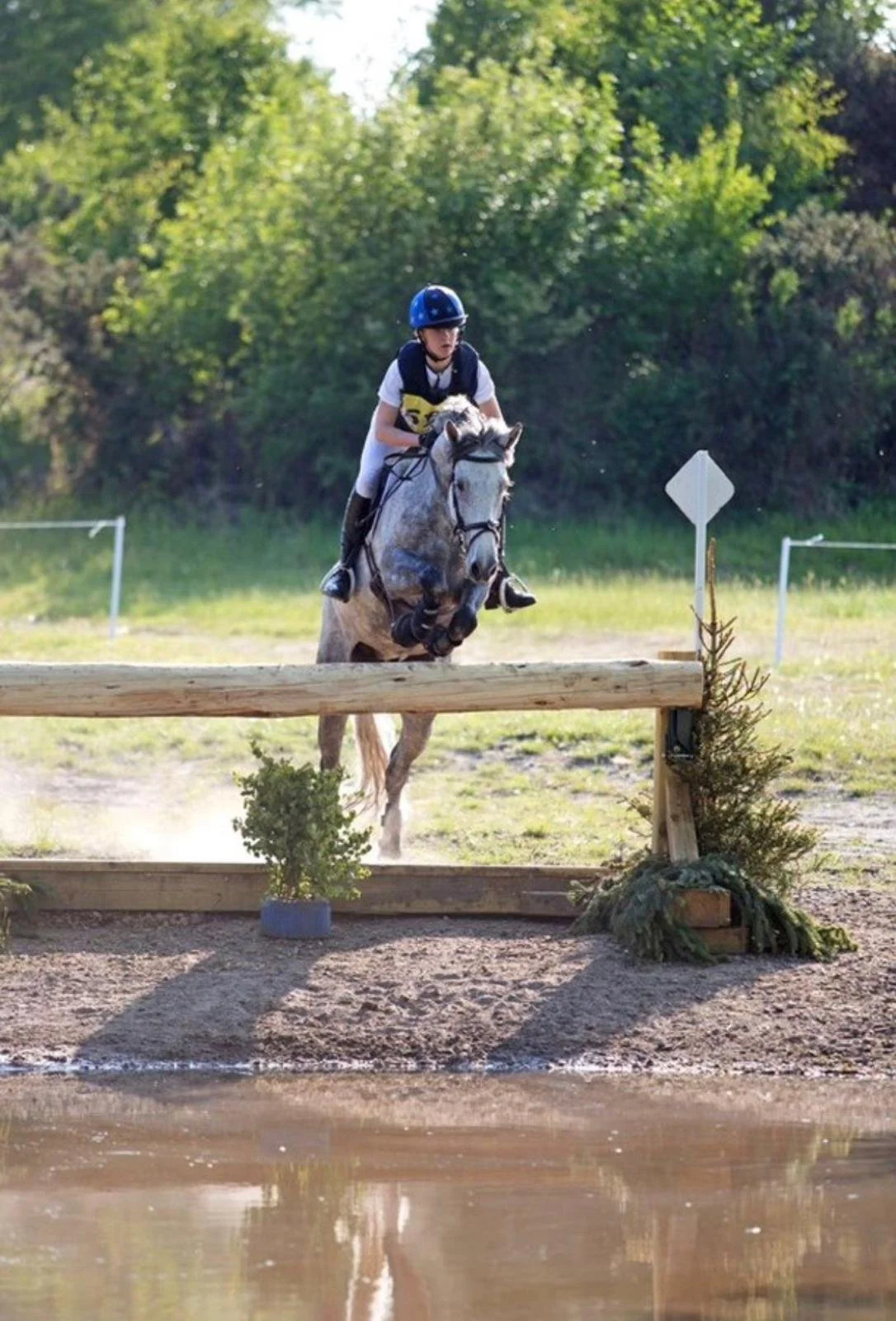 A person riding a gray horse over a wooden obstacle during a cross-country event, with green trees and bushes in the background and a calm water feature in the foreground.