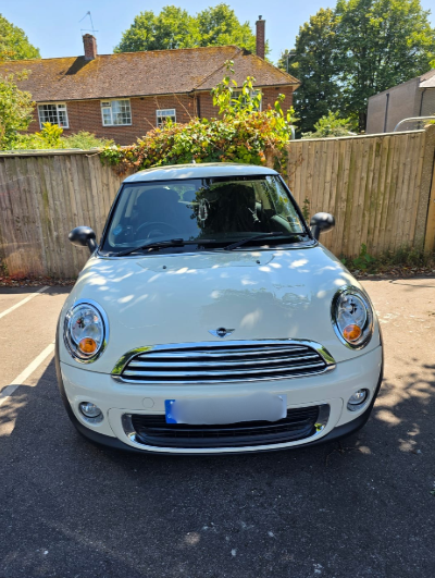 White Mini Cooper parked in a driveway with a wooden fence and house in the background, surrounded by greenery.
