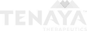 tenaya.png