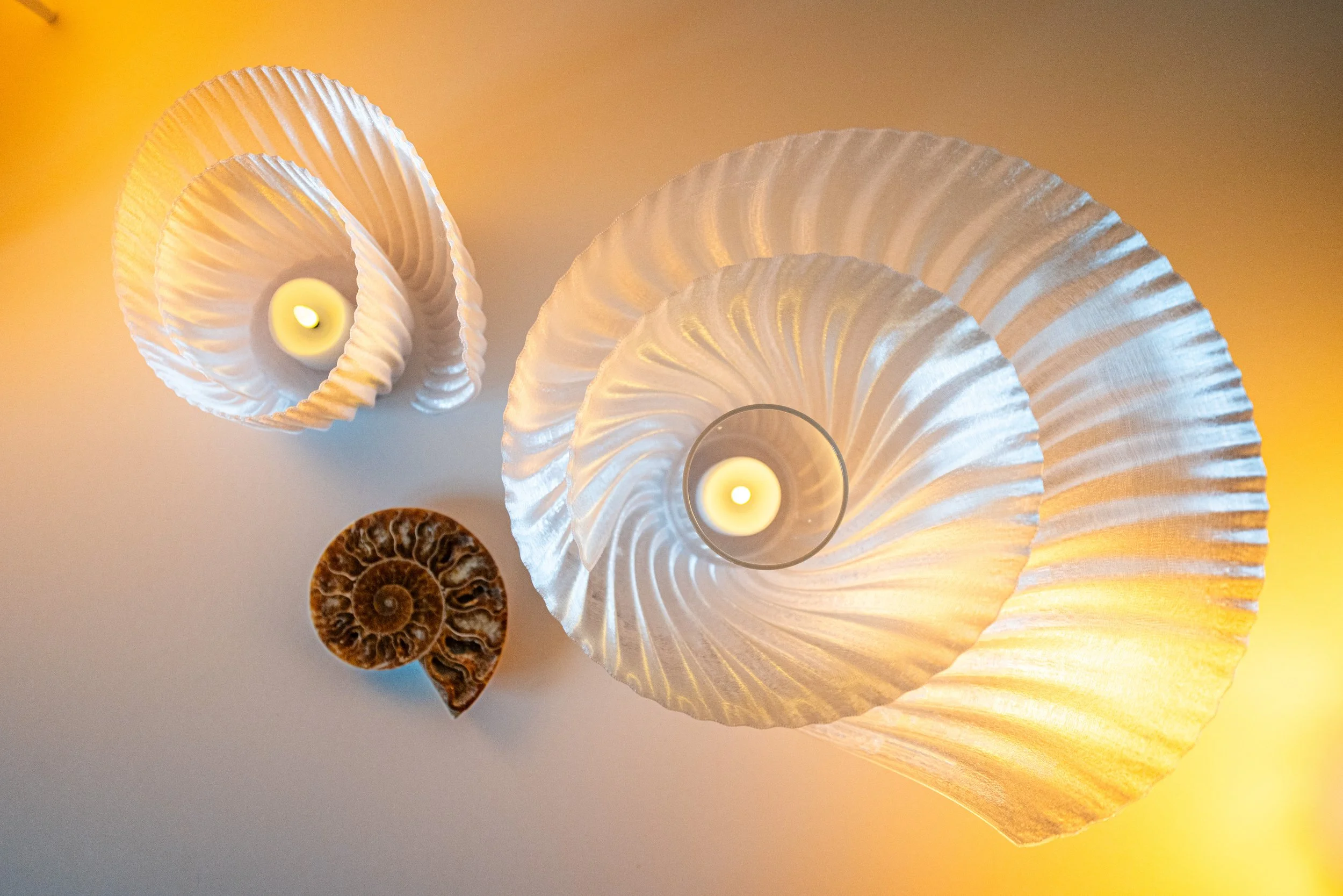 Ammonite Candle Holders