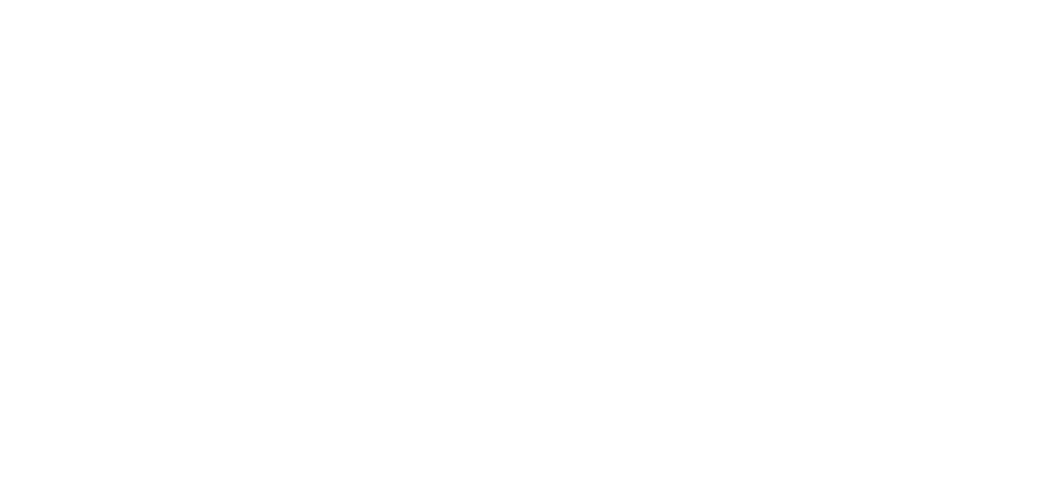 Vanessa Bachmann