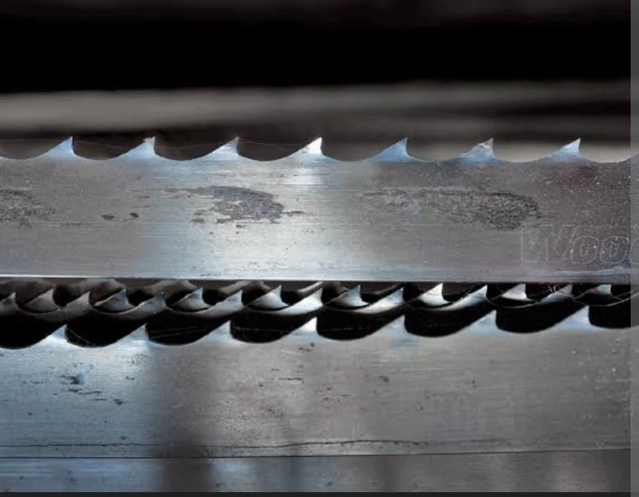 WhatsApp Image 2025-11-12 at 11.00.46 PM.jpeg