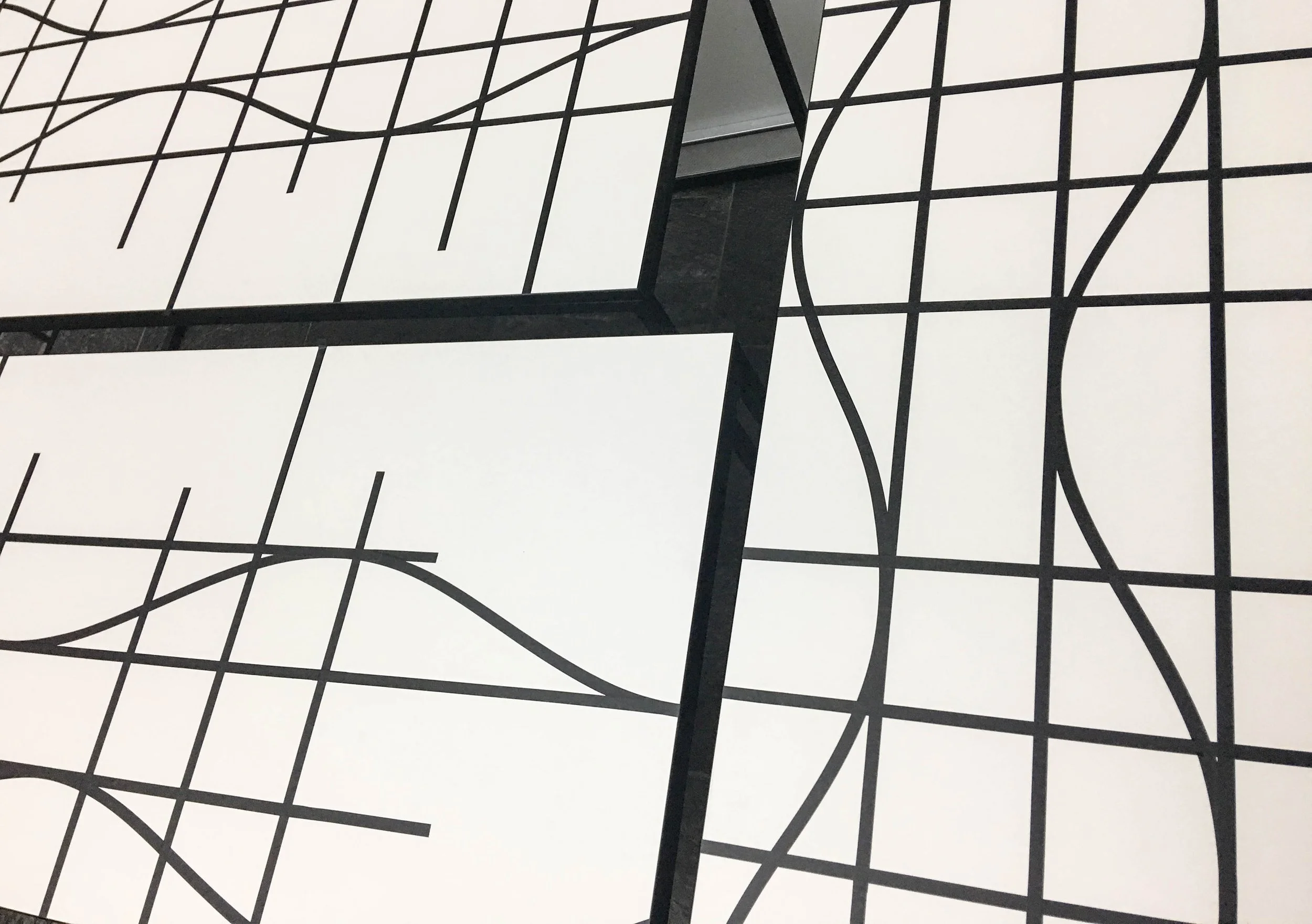 Senckenberg Night Ausstellung