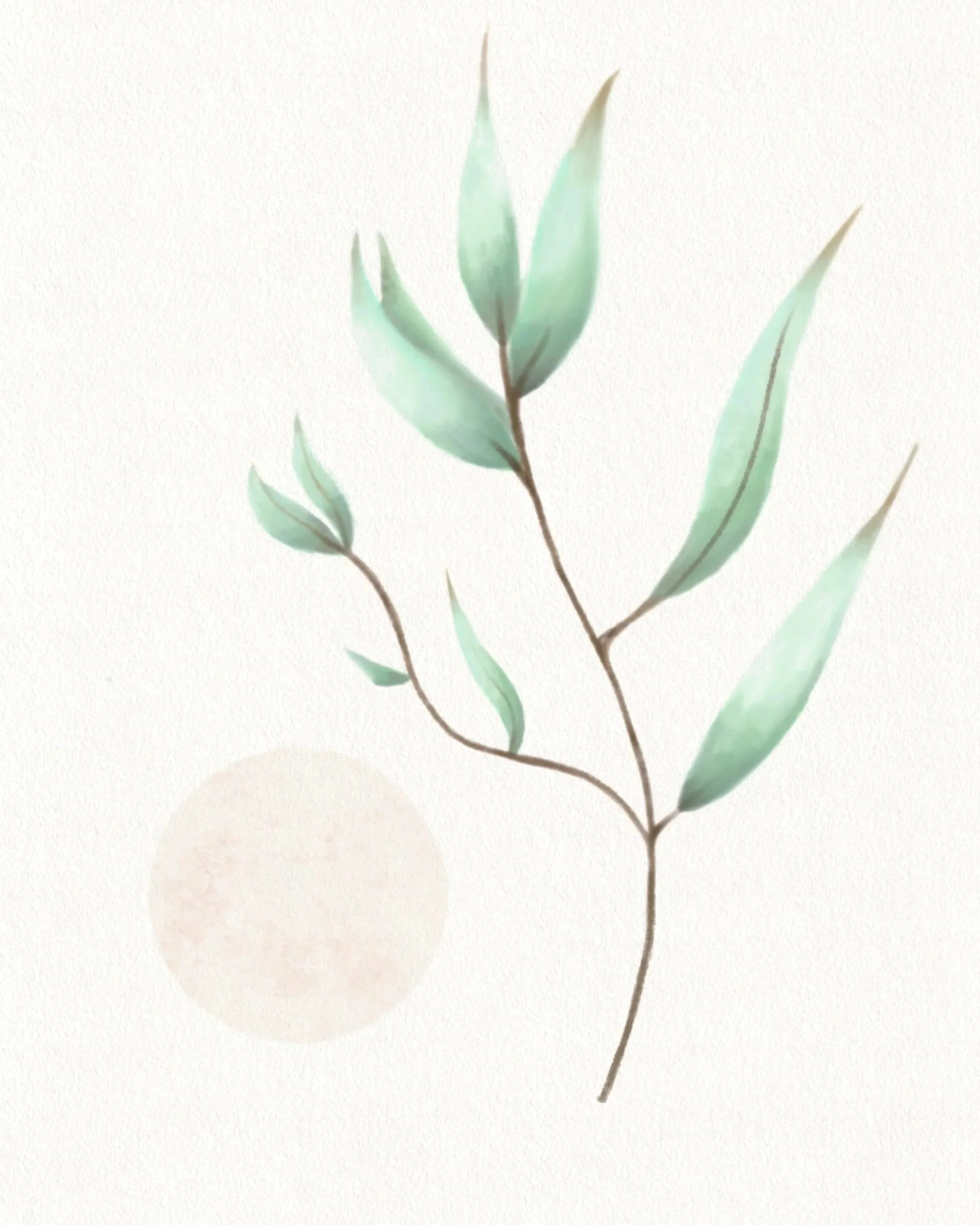 Watercolor illustration of a eucalyptus branch with green leaves on a light background.