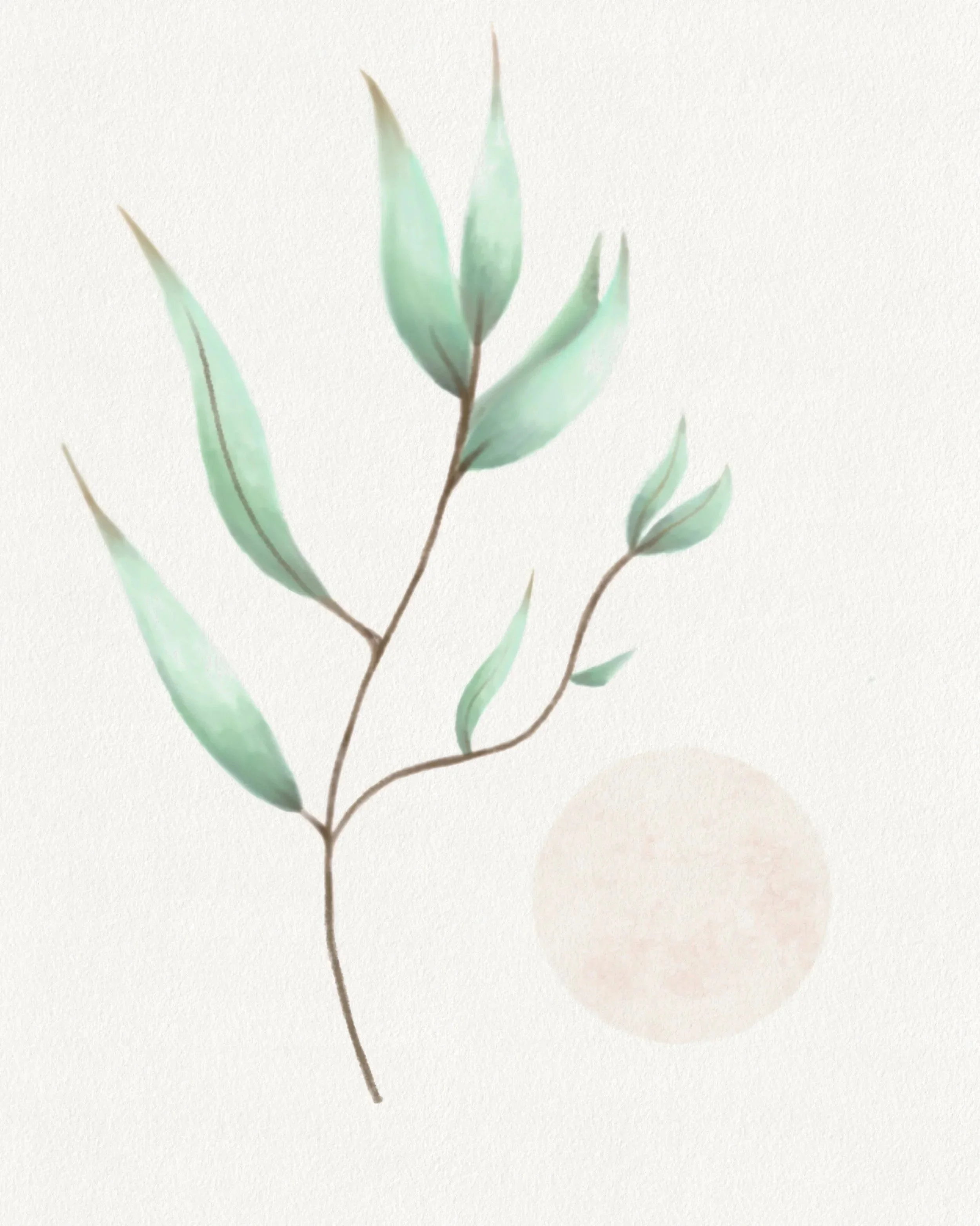 A watercolor painting of a eucalyptus branch with green leaves against a white background.