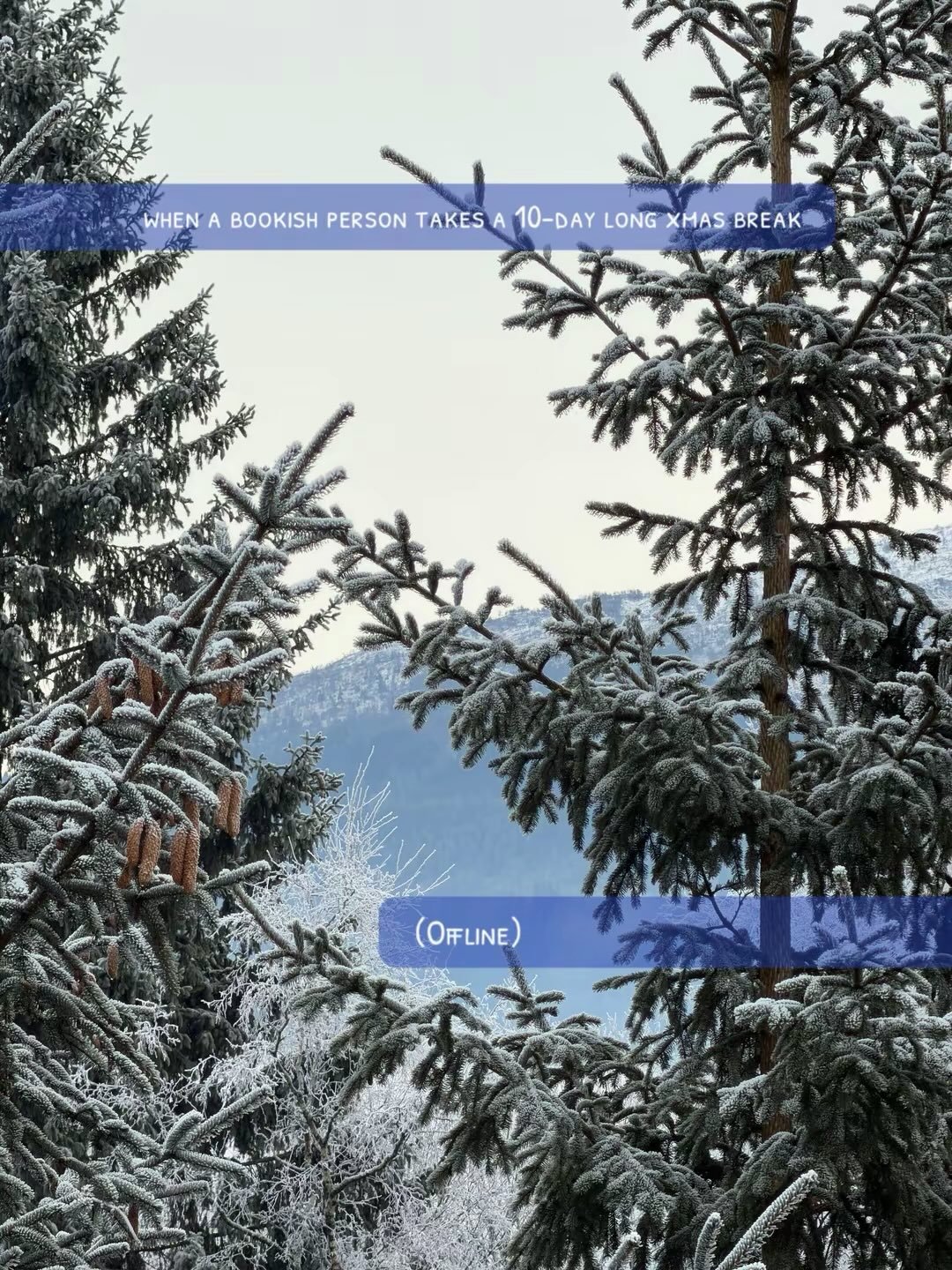 10 days social media free. So here are some snaps from my boring (and super quiet) life with fam. 😌
I had big reading plans, but I guess I needed a break from books as well. I managed two audiobooks while knitting and that's it! (No regrets.)

How w