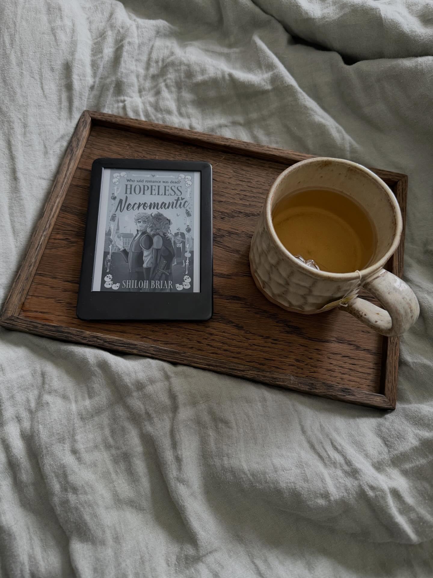 Hopeless Necromantic by Shiloh Briar

I really loved this one. Even though there were some high stakes, it still felt like a chill and kind of cozy read. I loved the dark humor, funny dialogues and the relationships between all three main characters.