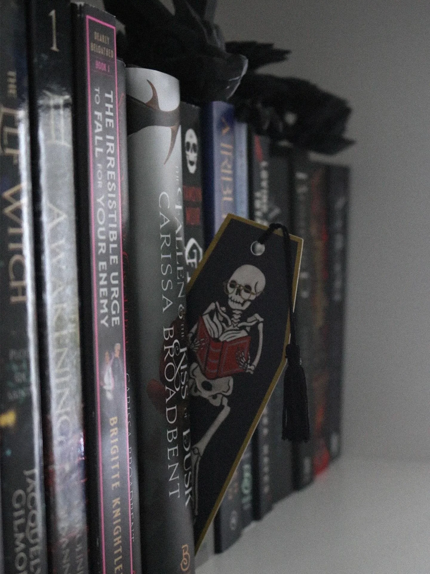 Just wanted to check in and ask what are you reading right now 😌 

I finished A Curse of Beasts and Magic last night at 1AM. Loved it. Took me a while though as we are currently on day 8 of having a sick toddler at home 🫠 I am hoping to get back to