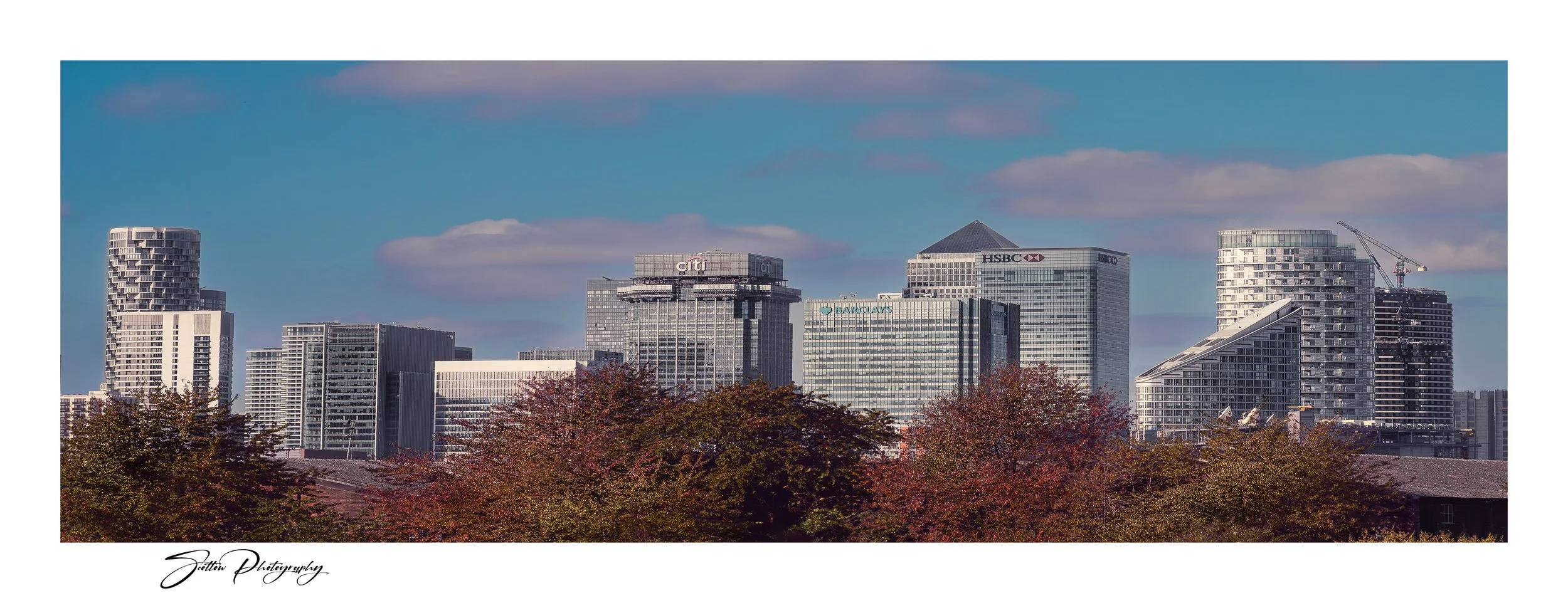 Canary Wharf Tree Line