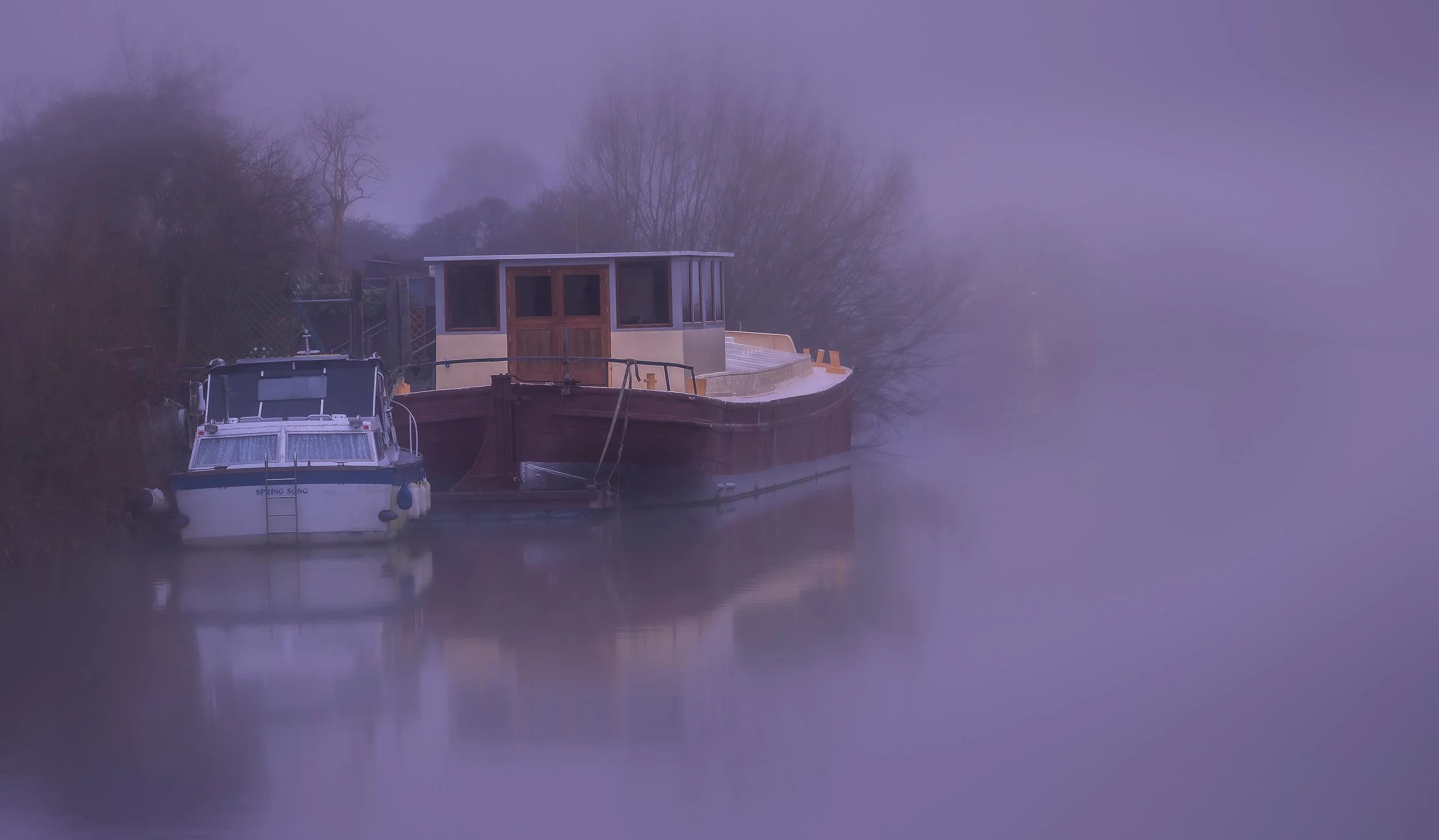 The Violet Veils of the River