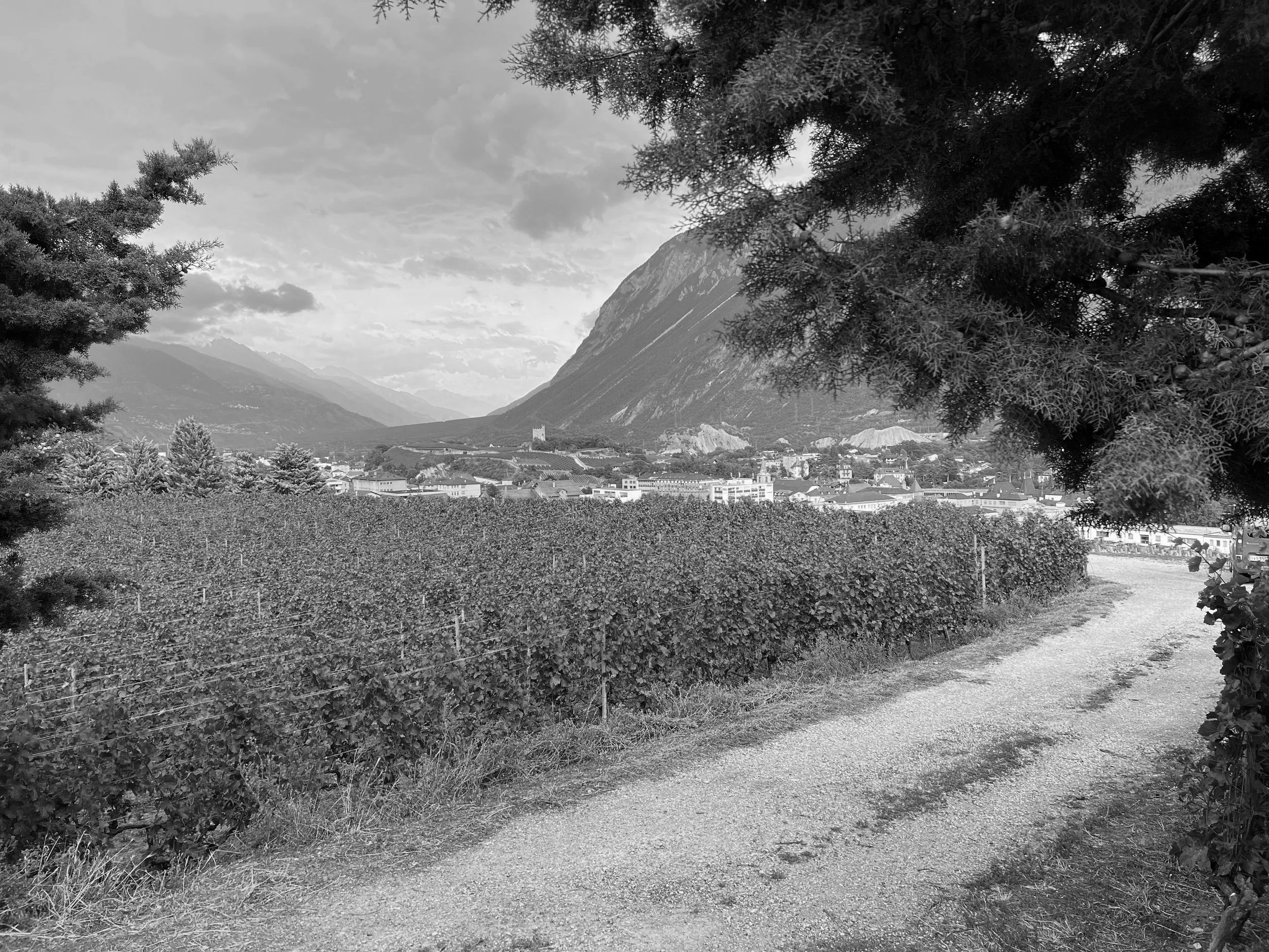 Swiss Tower Valais Wallis Sierre Siders