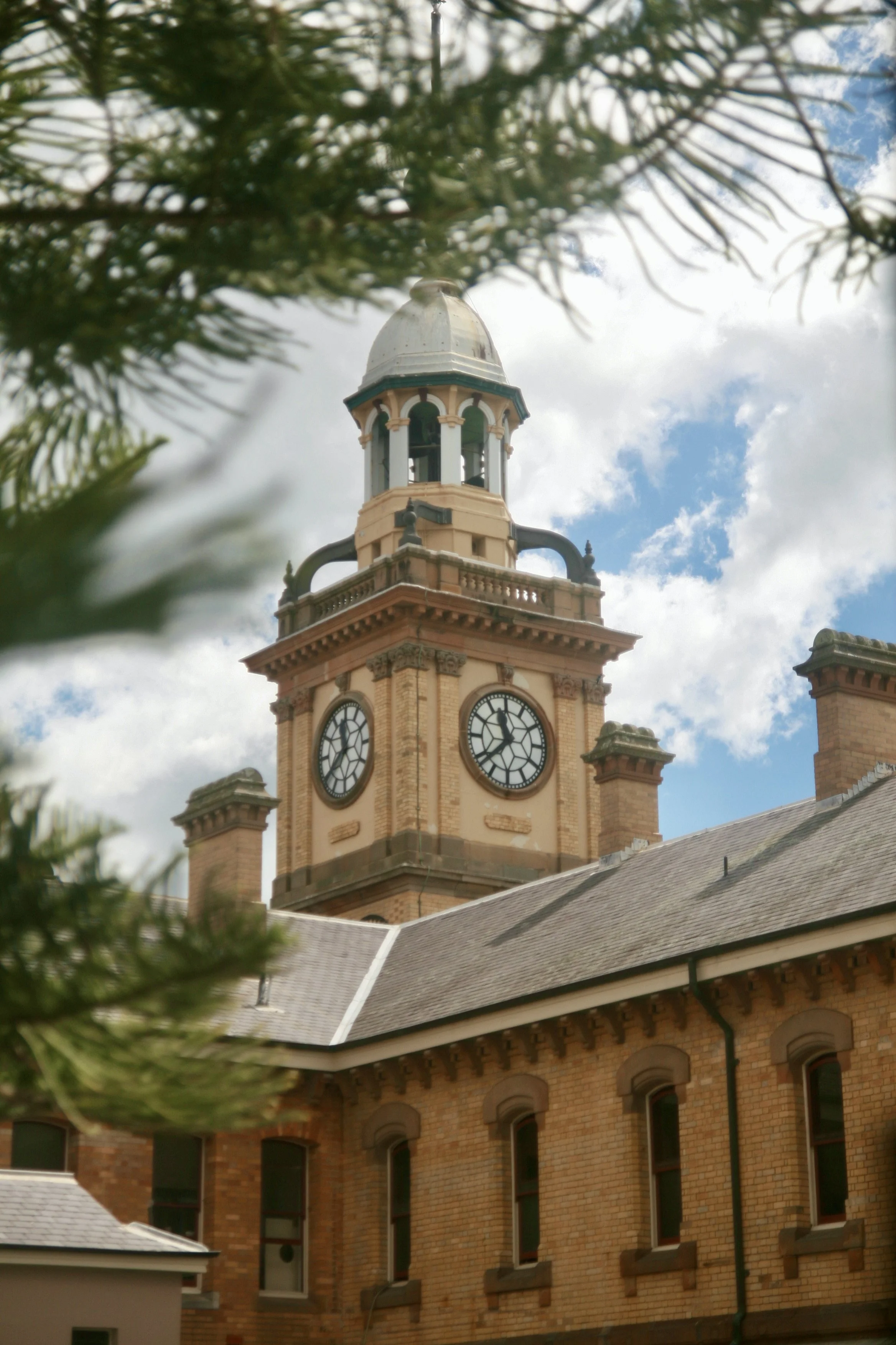 A historic brick clock tower with a domed top, visible through the branches of a tree, set against a partly cloudy sky.