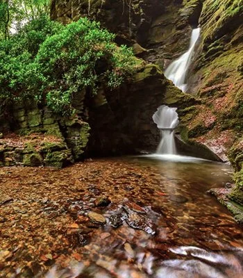Cascada en un bosque con roca y agua cristalina