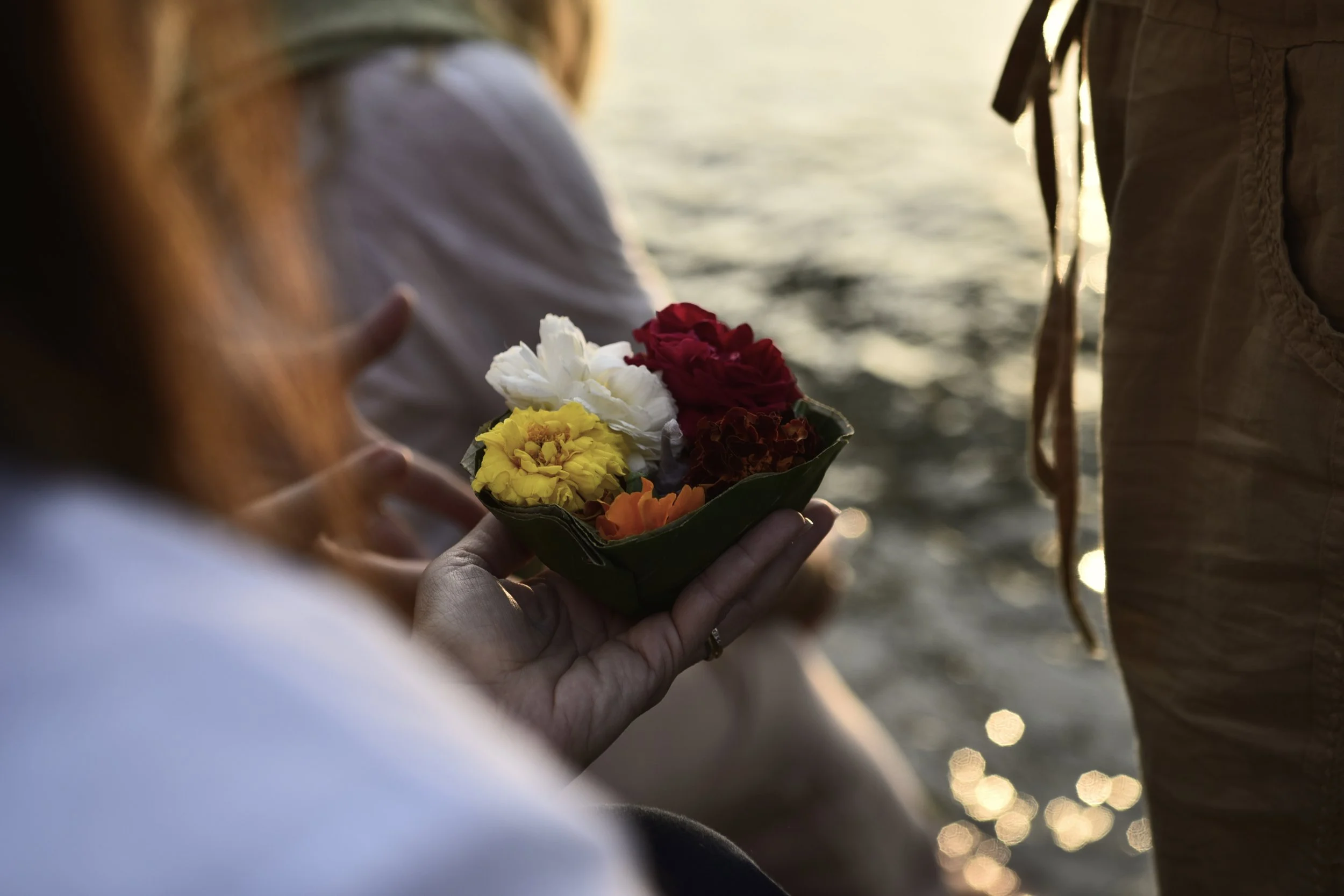 Persona sosteniendo una flor con varios colores, con agua y reflejos al fondo, en un entorno al atardecer.