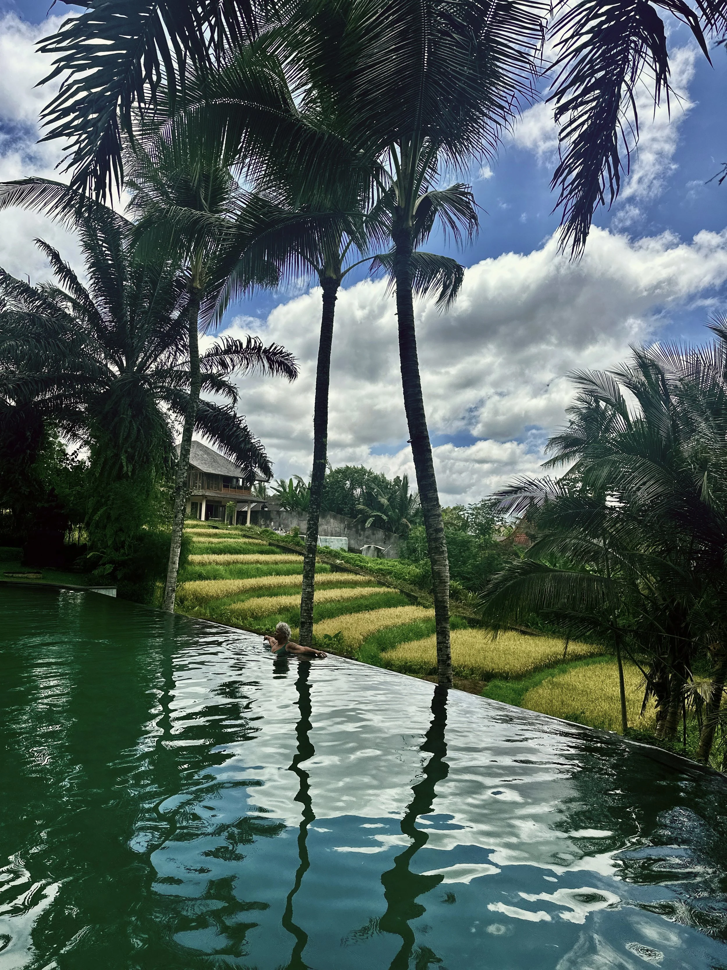 Persona nadando en una piscina infinity rodeada de palmeras, con un paisaje de terrazas verdes y una casa en el fondo bajo un cielo nublado.