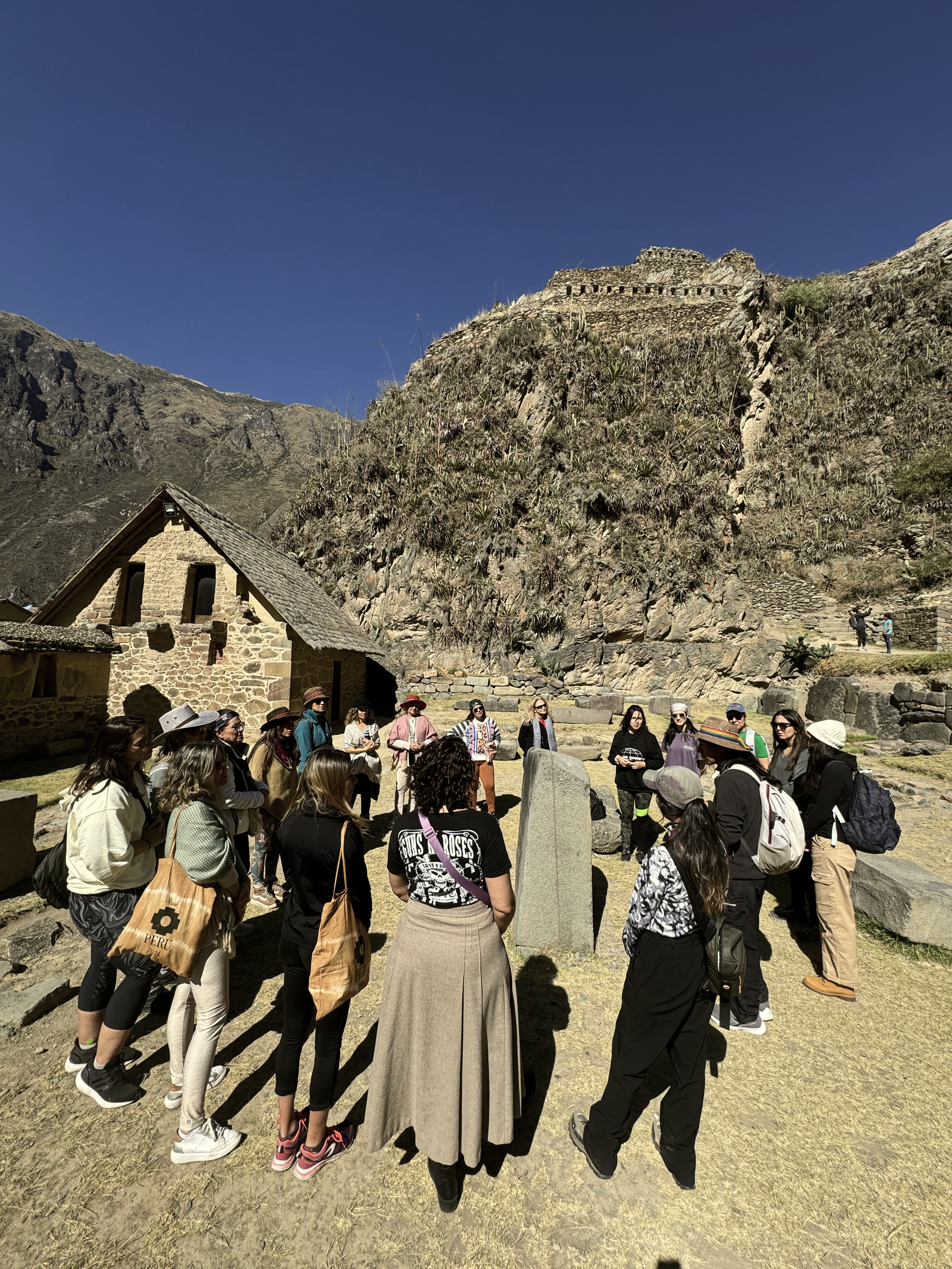 Grupo de turistas en una excursión en Machu Picchu, rodeados de ruinas antiguas y montañas en el fondo bajo un cielo despejado.