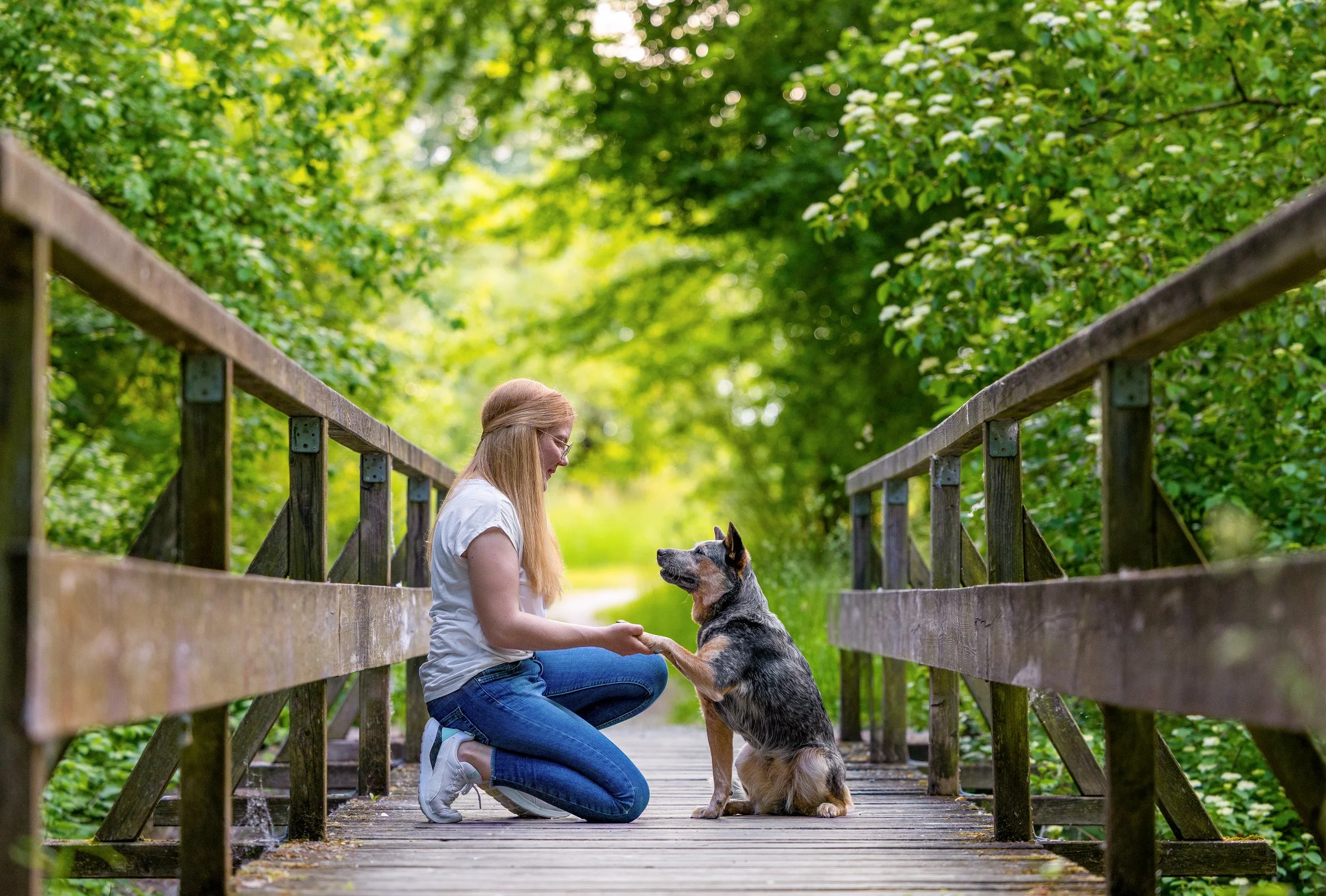 Junge Frau mit Brille und blonden Haaren, die in einem weißen T-Shirt und blauen Jeans auf einem Holzsteg kniet und einem Hund einen Pfotenstreich gibt, umgeben von grünen Bäumen im Freien.
