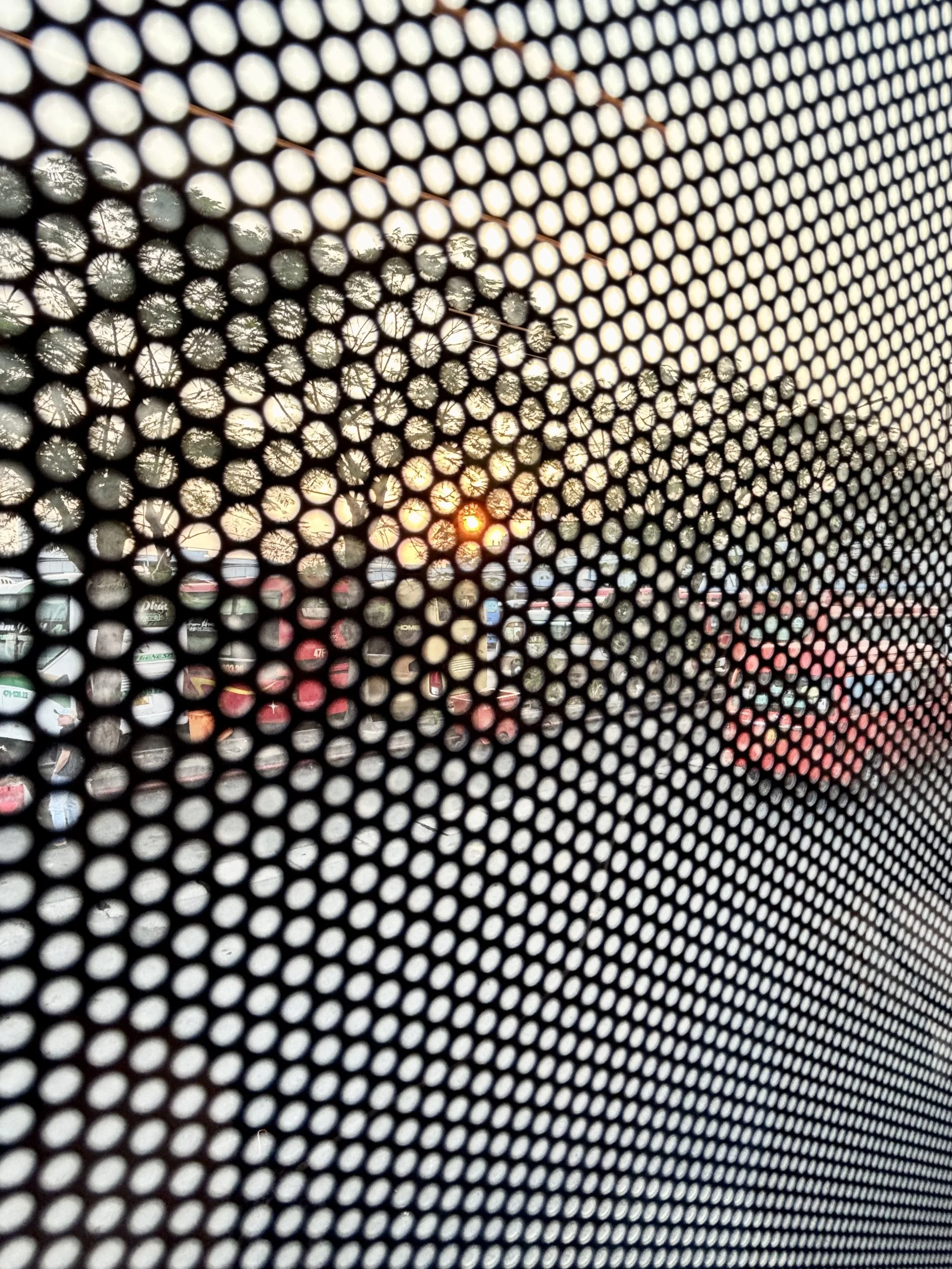 IMG_0787.jpeg