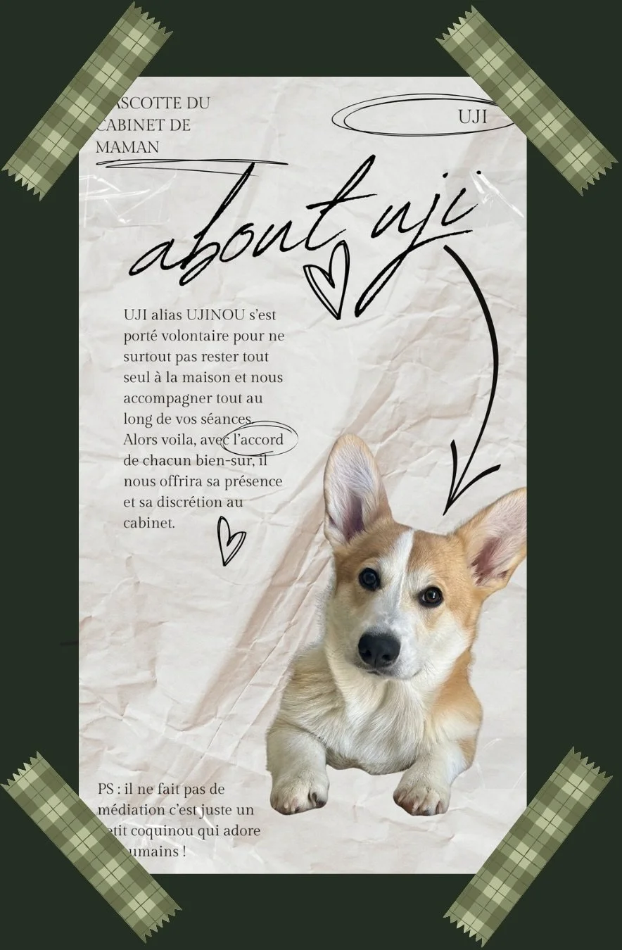 Une feuille de papier déchirée avec un texte en français, une illustration d'un cœur et une flèche dessinés à la main, ainsi qu'une photo d'un chien devenu célèbre pour son regard.