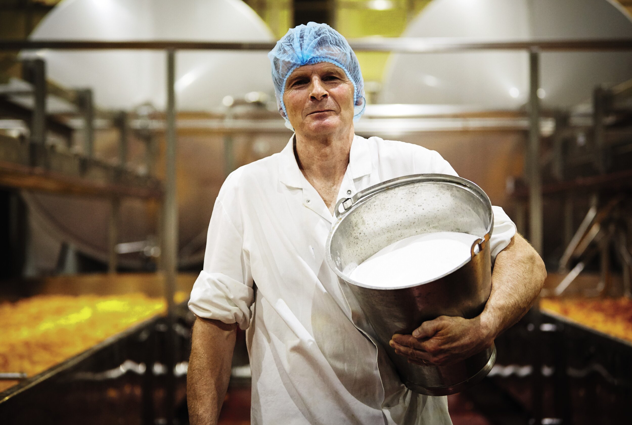 Cheesemaking Ross Dairy.jpg