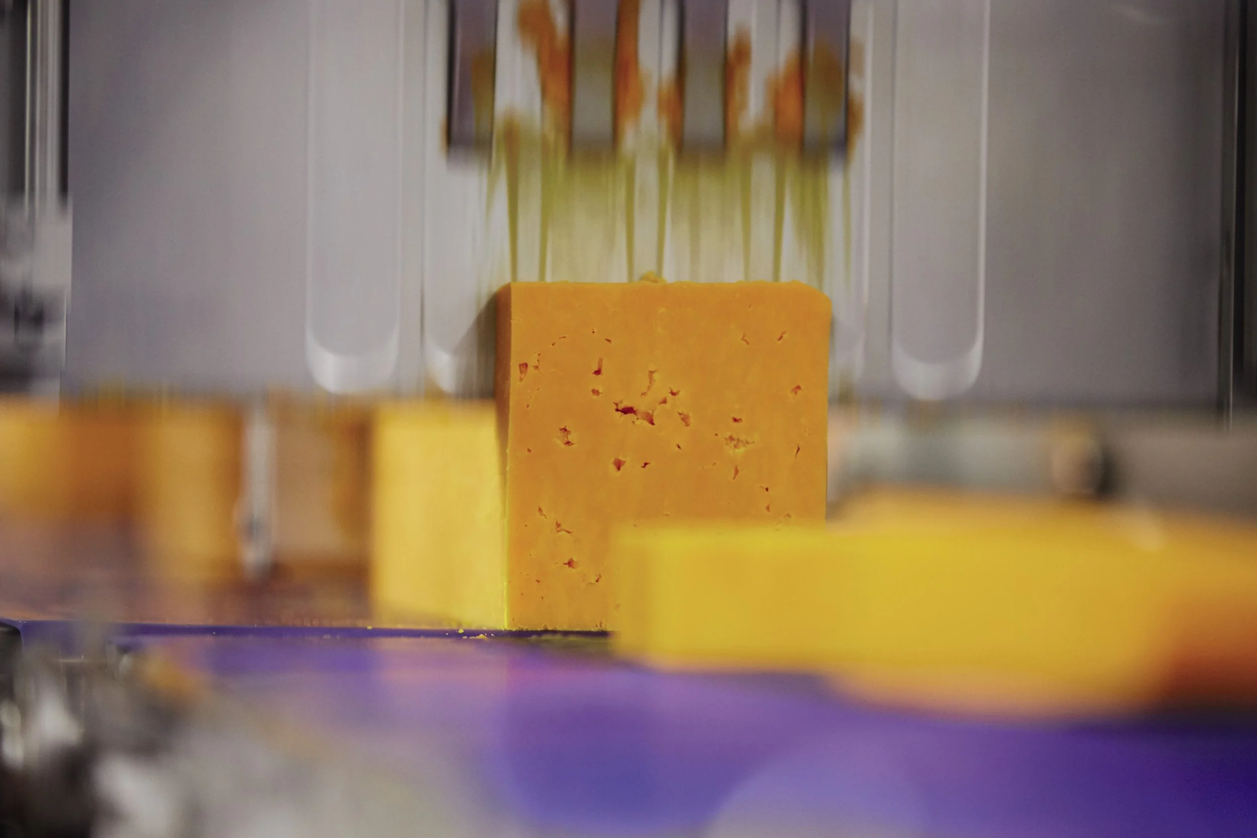 Cutting room Laurels Farm.jpg