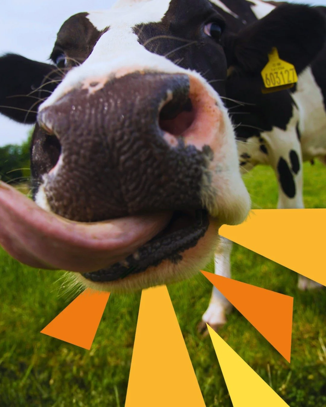 Tomorrow. Everything changes. Ready?