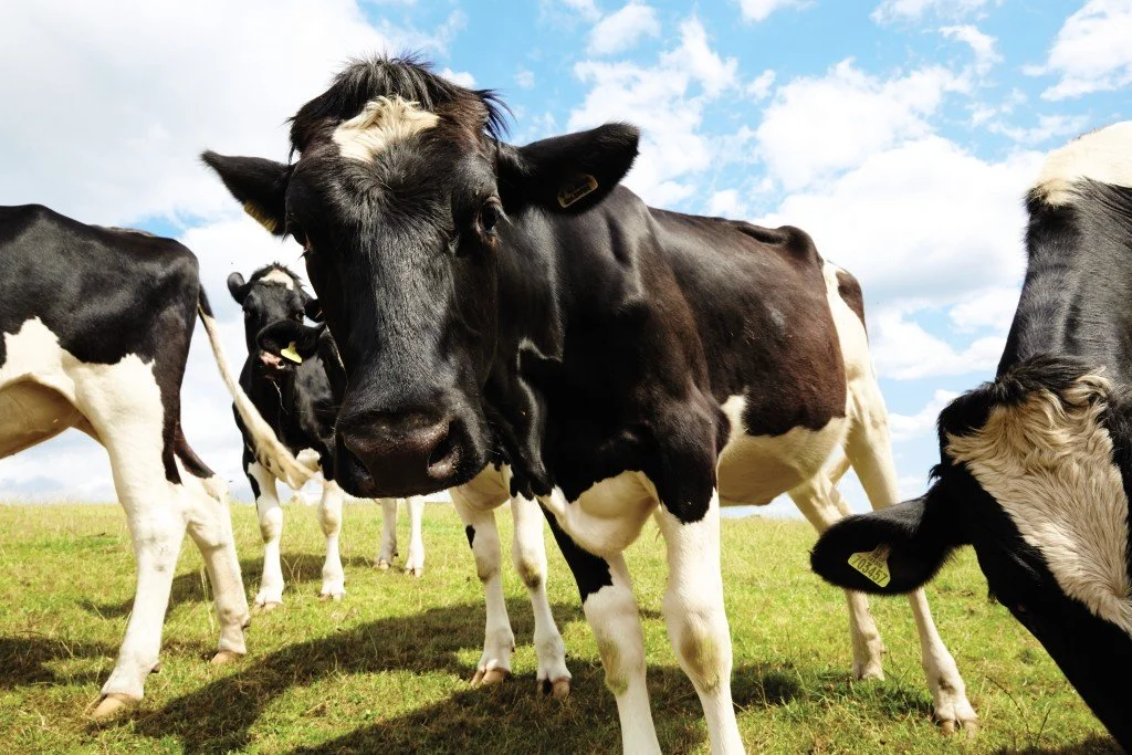 Giving Back to the Communities We Call Home 💛

At Heler Foods, staying connected to our roots matters. That&rsquo;s why we&rsquo;re proud to support local groups through the Joseph Heler Community Fund, which will open for applications on 1st Januar