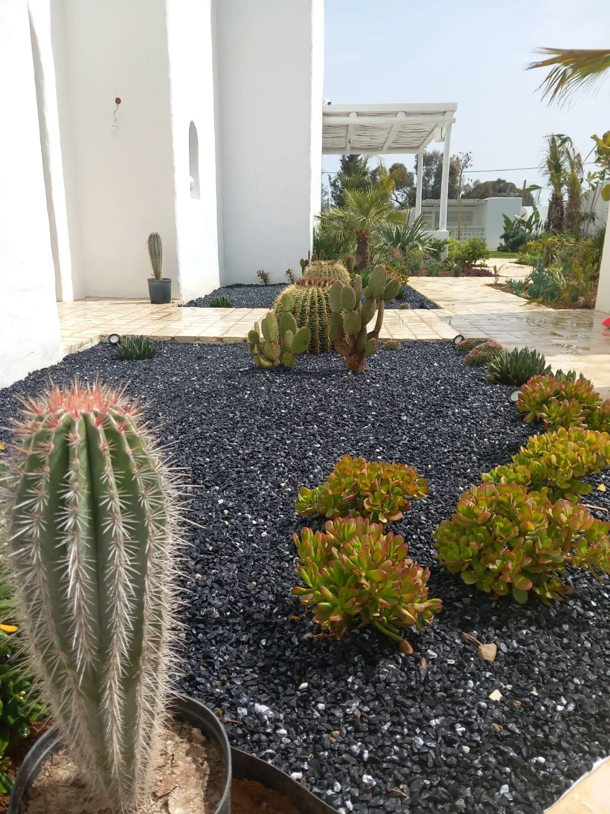 Jardin avec cactus et plantes succulentes, murs blancs, passerelle en pierre, et végétation tropicale en arrière-plan.