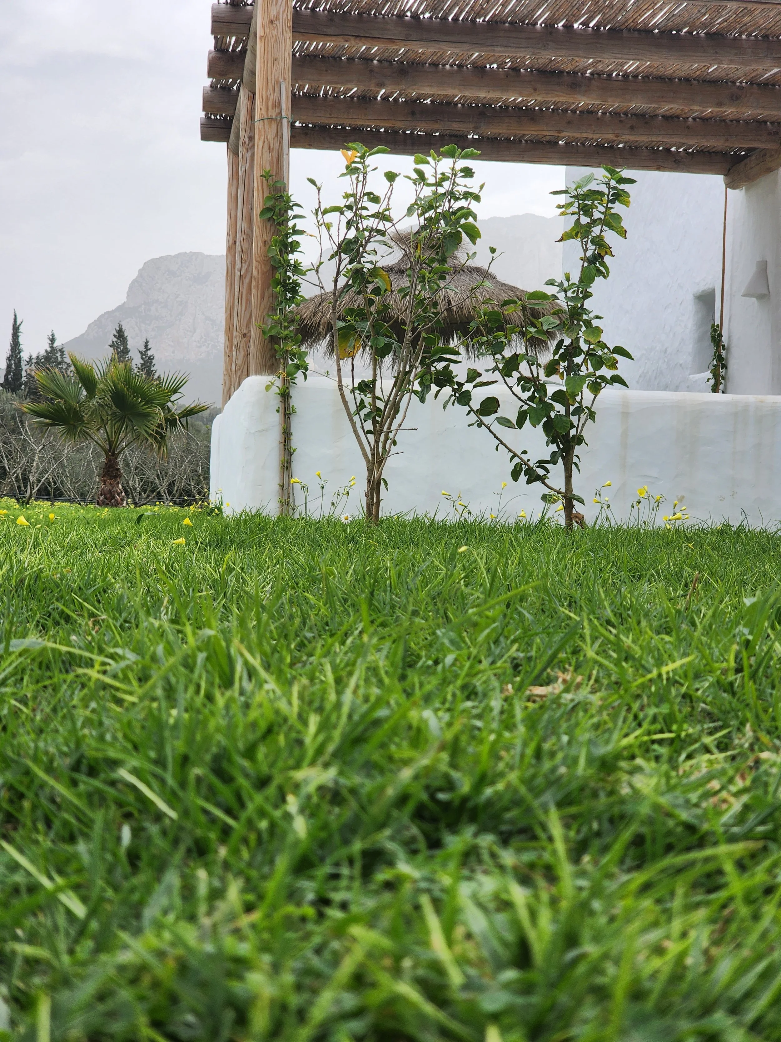 Gazon vert avec petits arbres et une structure en bois avec un toit en chaume dans un paysage montagneux.