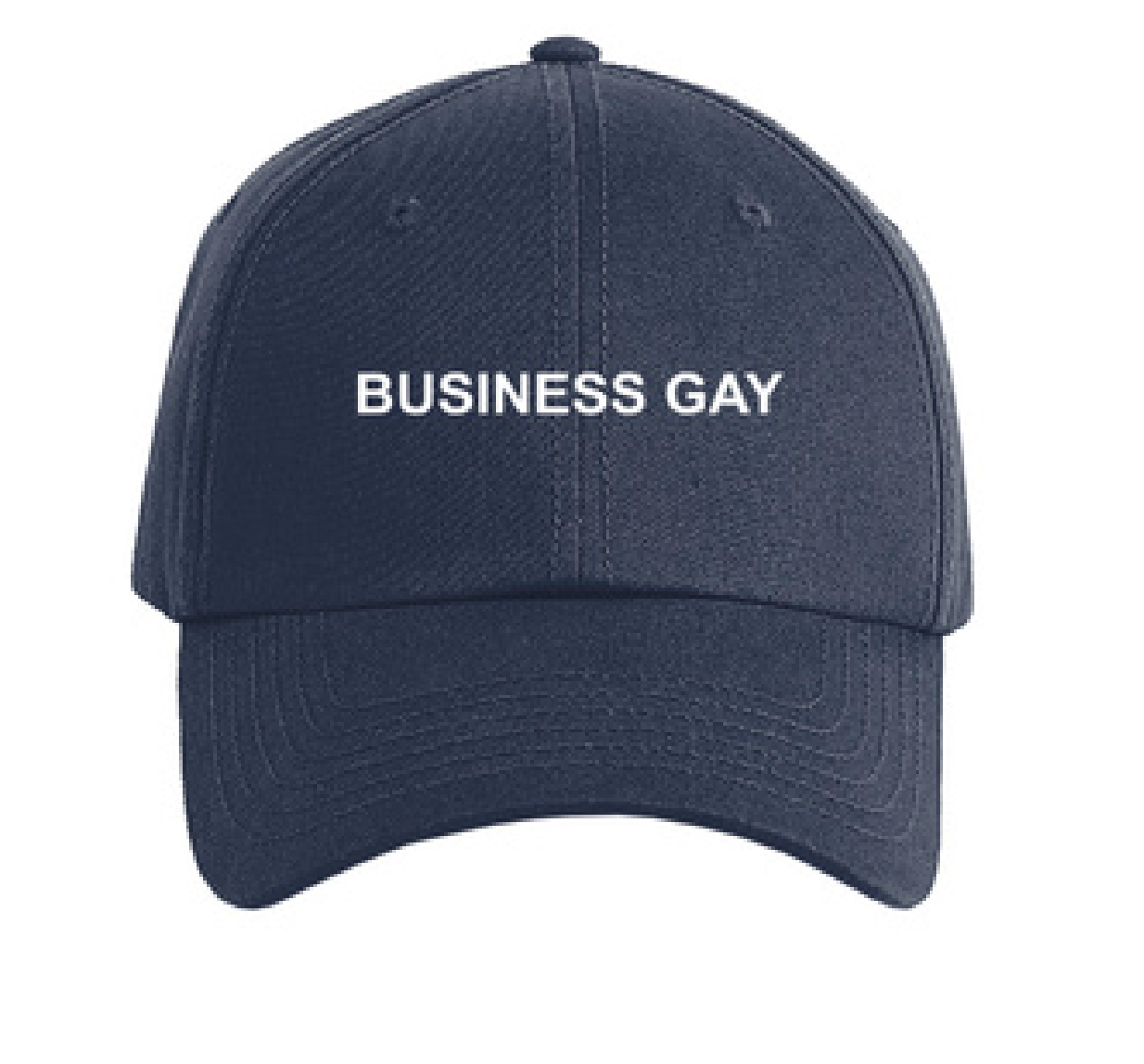 Business Gay Baseball Cap