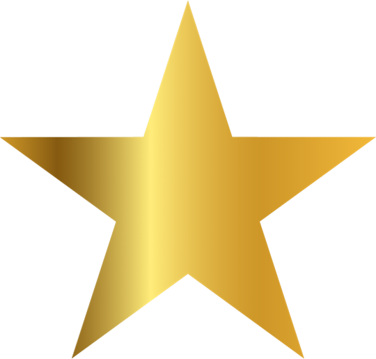 A Gold star. This sits with the Testimonials from our clients who have given Baker Aventine great feedback for the work they have done with Luc Salmon, the founder, in the past.