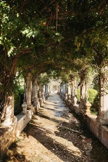 Jardines'd Alfabia