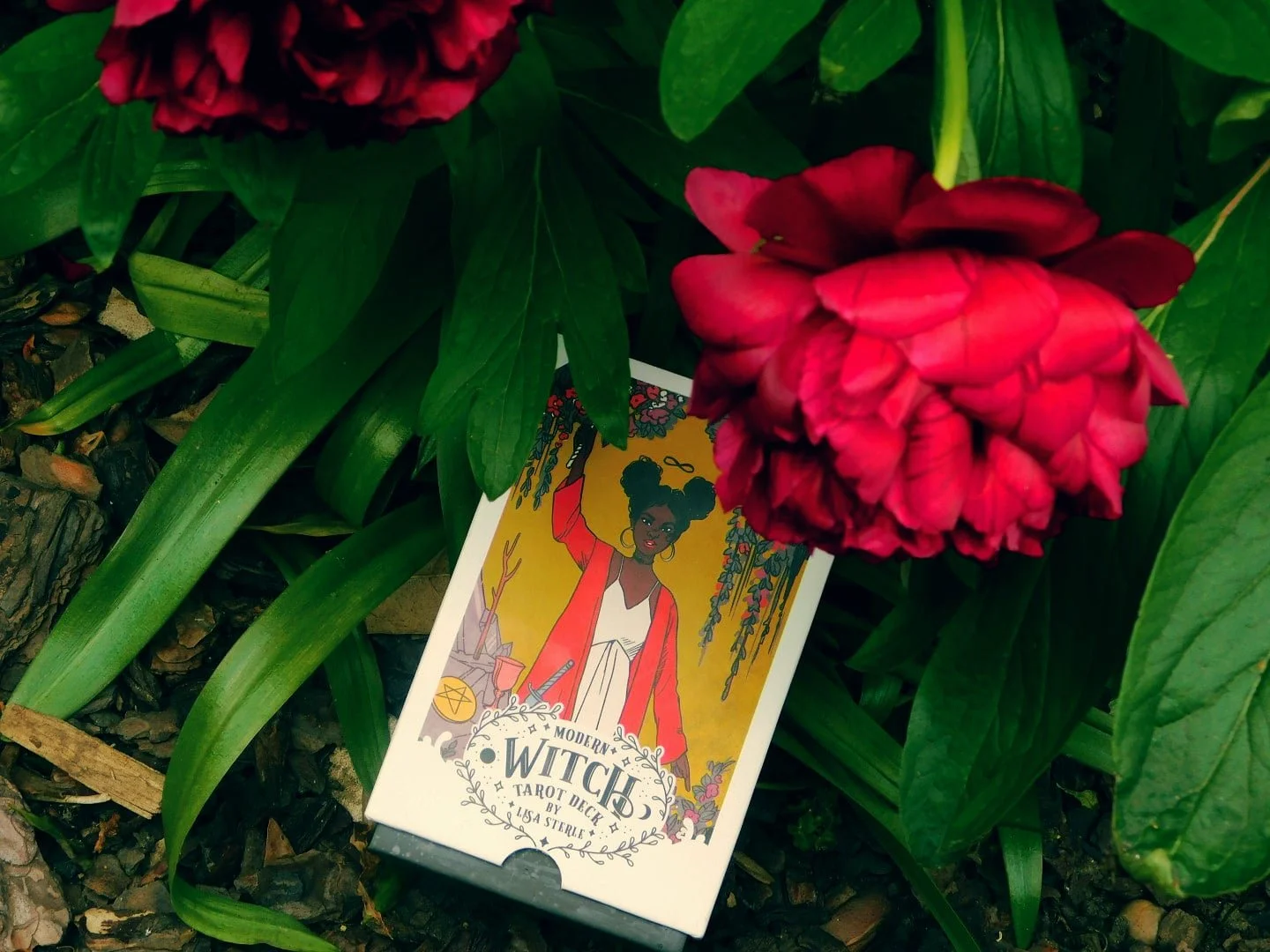 IMG_20200513_142725_022 (1).jpg