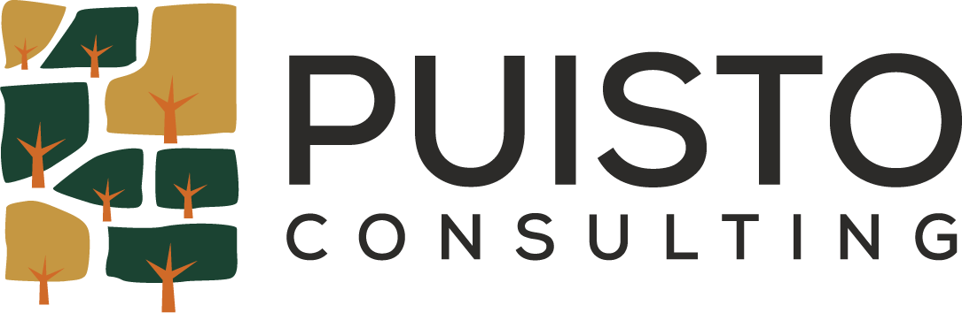Puisto Consulting Oy