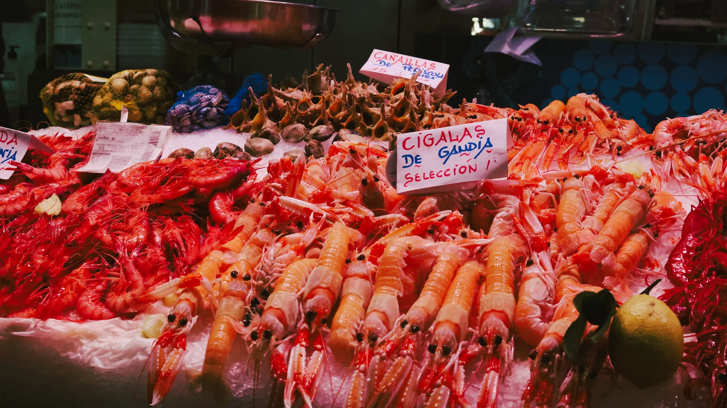 06 December 12-48-49 LOLA.jpg