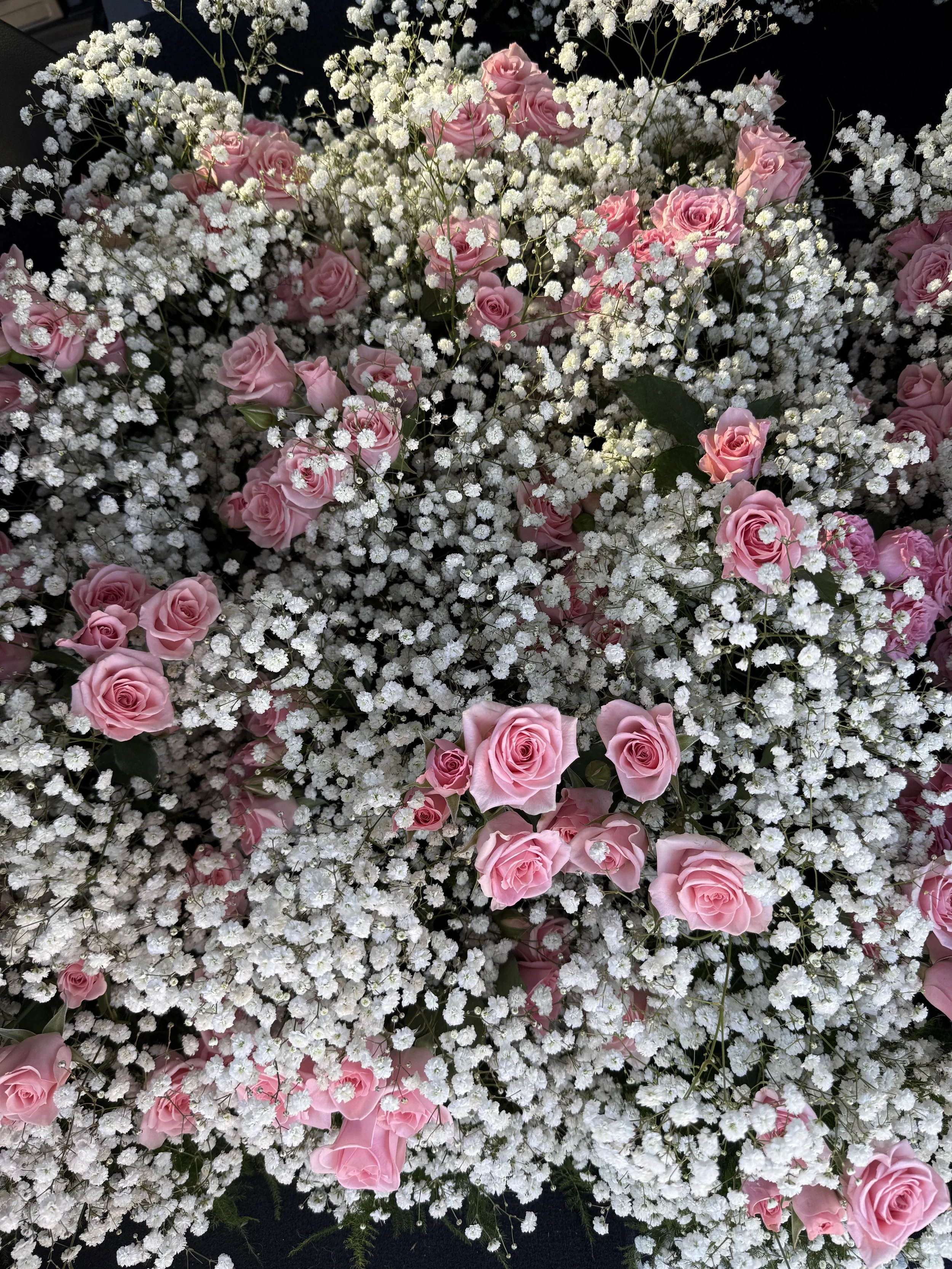 IMG_6548.jpeg