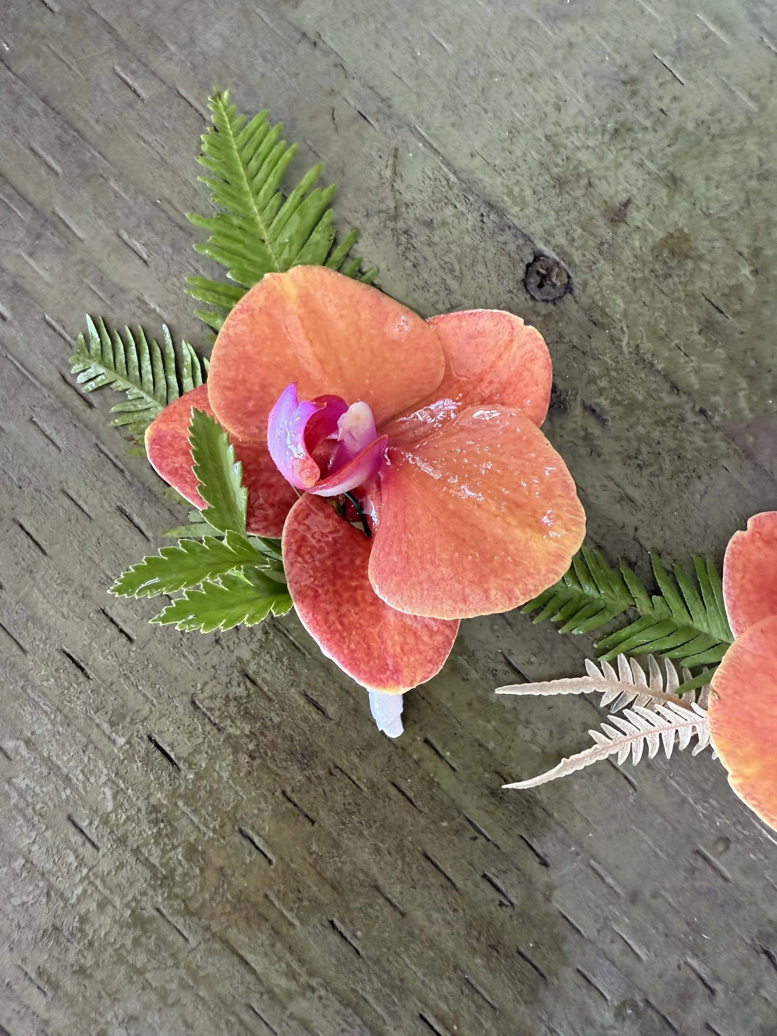 Artificial pink and orange orchid flower with green and white fern leaves on a wooden surface.