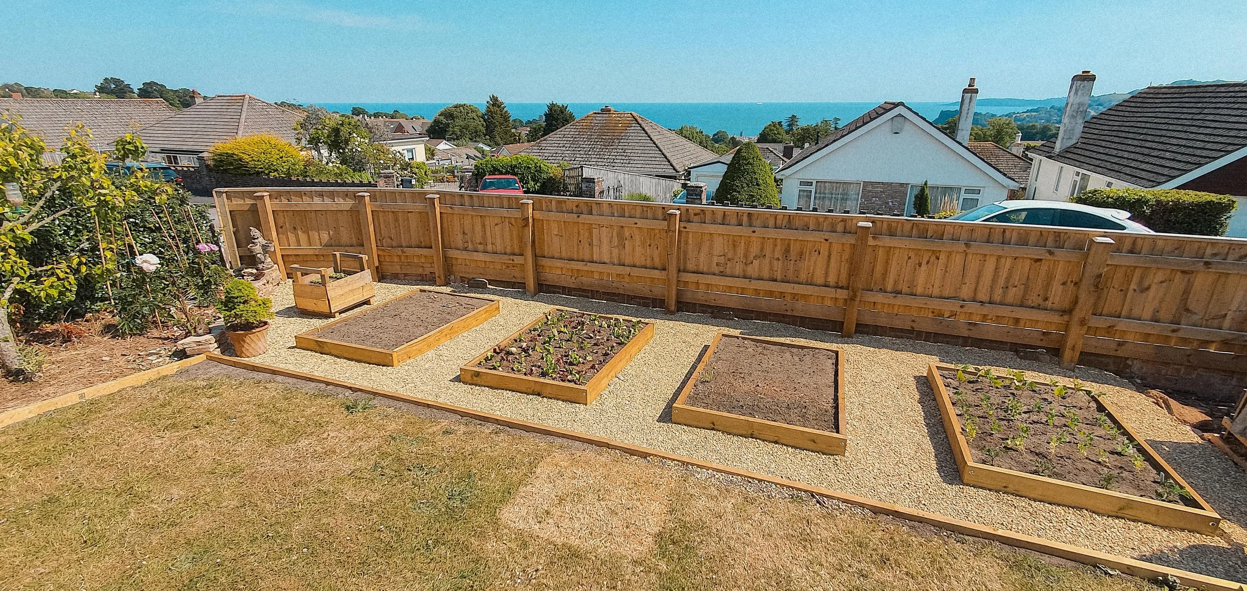 A backyard garden with newly built wooden planting beds, some with young plants and others with soil, surrounded by a gravel pathway, with a wooden fence, neighboring houses, and a view of the ocean in the background.