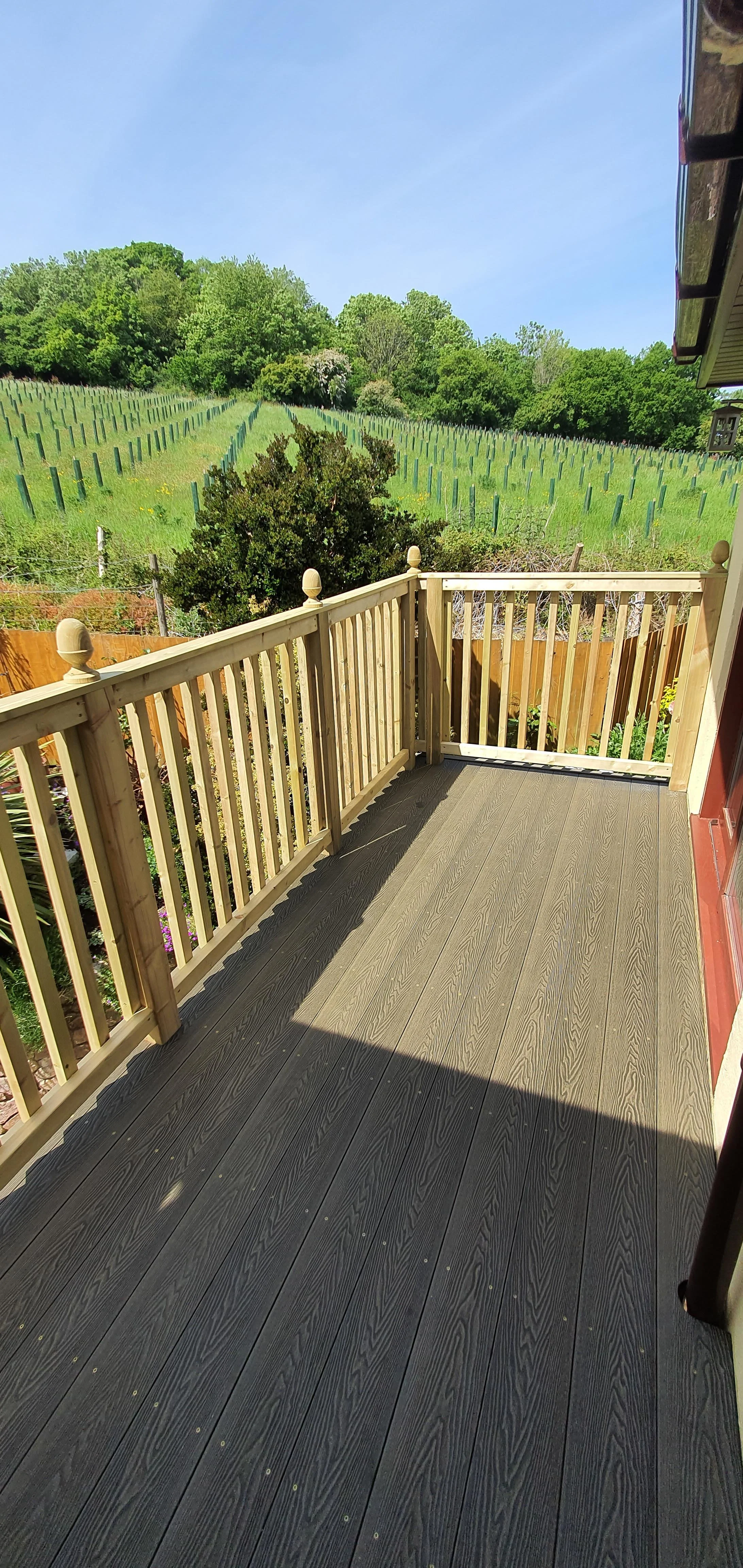 A wooden deck with a railing overlooking a lush, green hillside with rows of young plants supported by stakes, and a clear blue sky above.