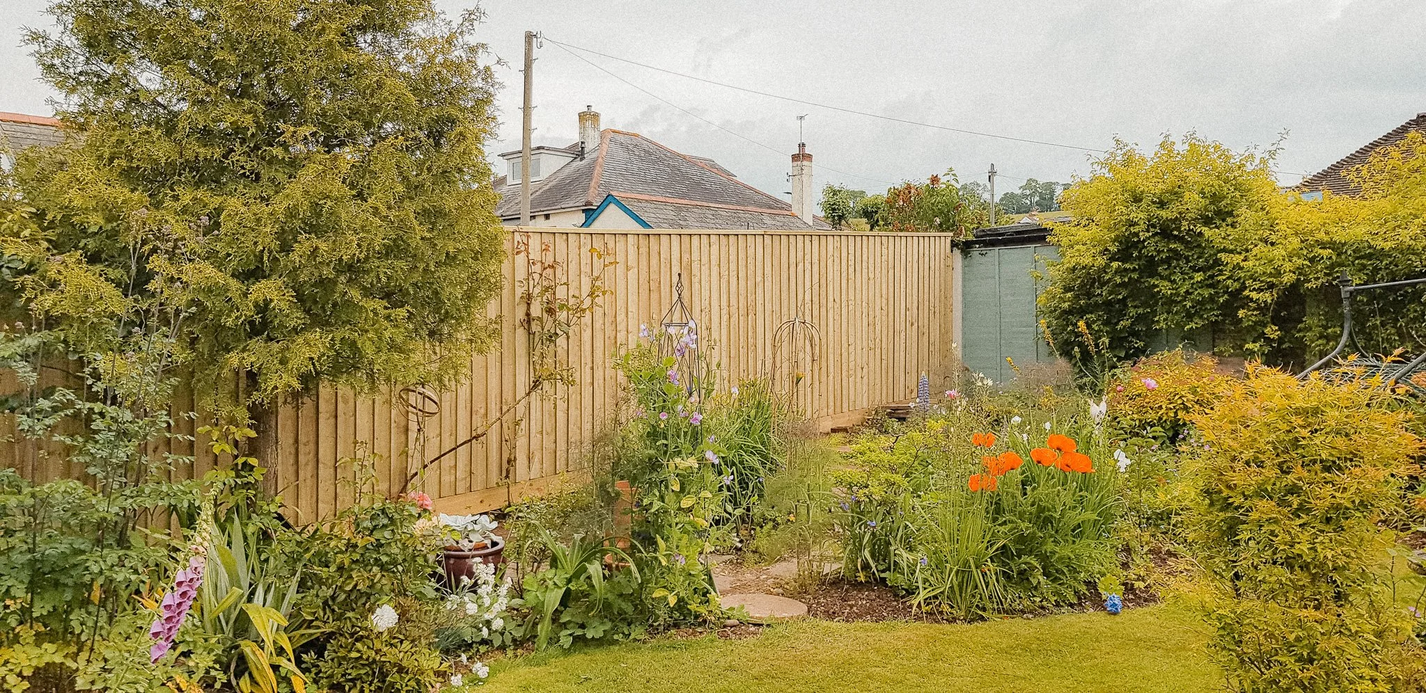 A garden scene with flowering plants, trees, and a wooden fence in a suburban backyard.