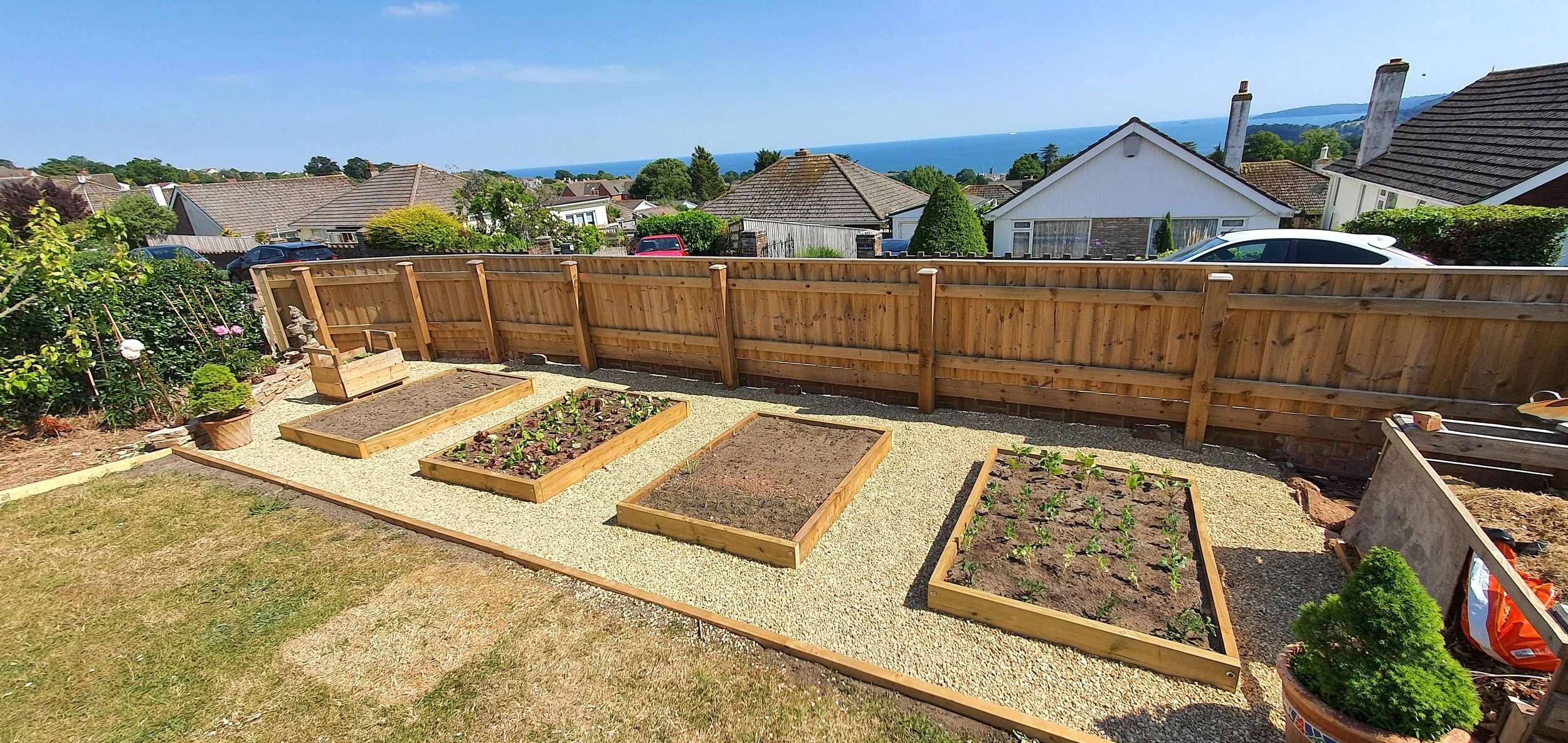 A backyard vegetable garden with four raised beds, some planted with crops and others empty, bordered by a gravel walkway, enclosed by a wooden fence, with neighboring houses and a view of the ocean in the background.